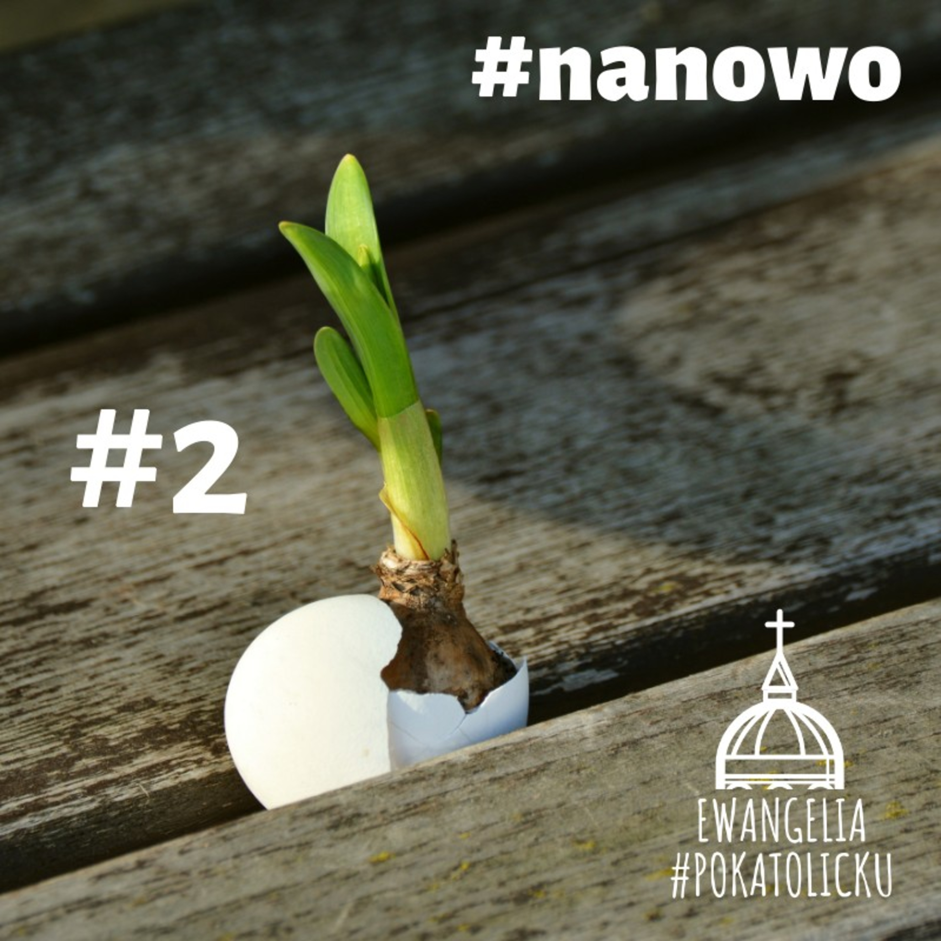 #hasztag #2 - #nanowo episode artwork