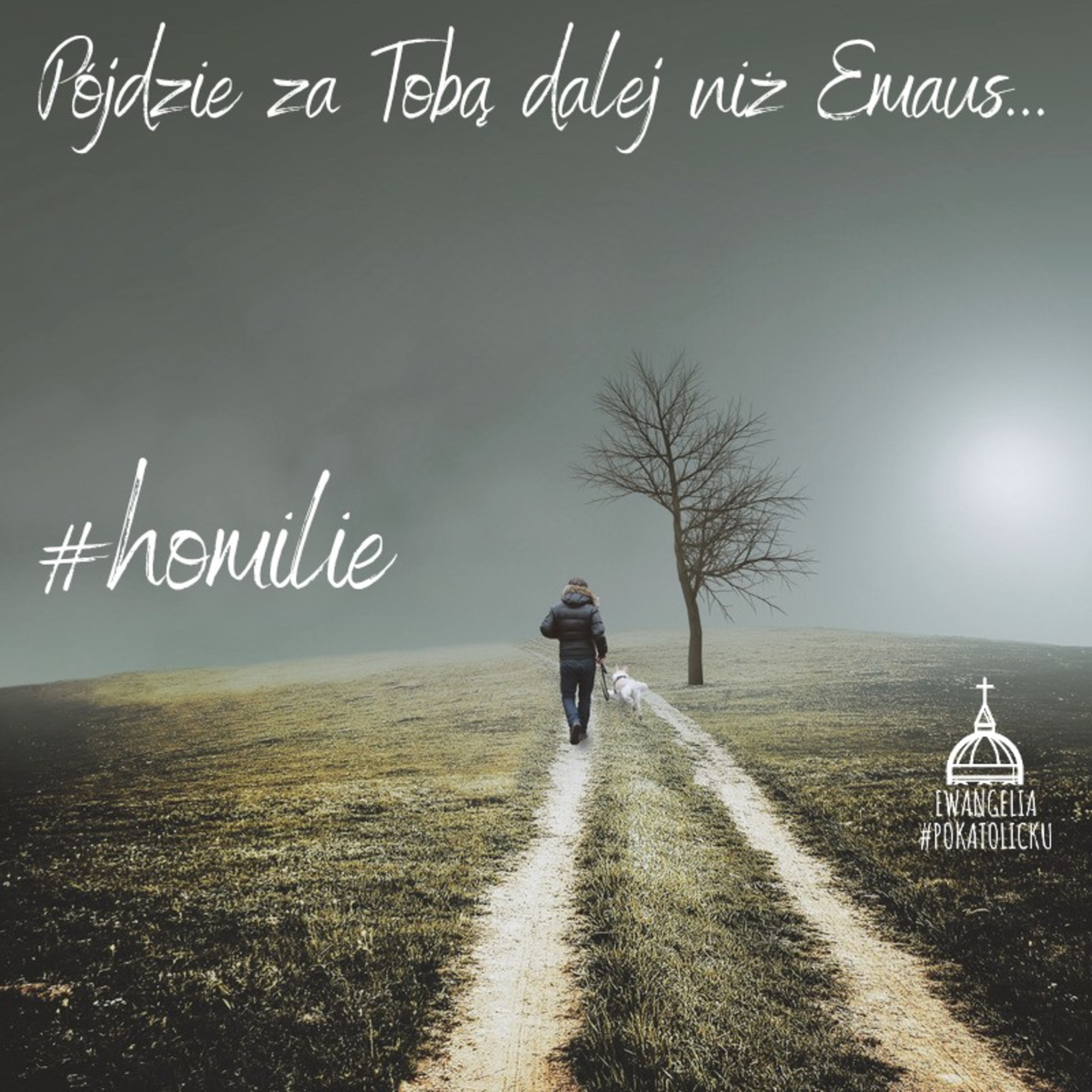 #homilie - Pójdzie za Tobą dalej niż Emaus... - III Niedziela Wielkanocna episode artwork