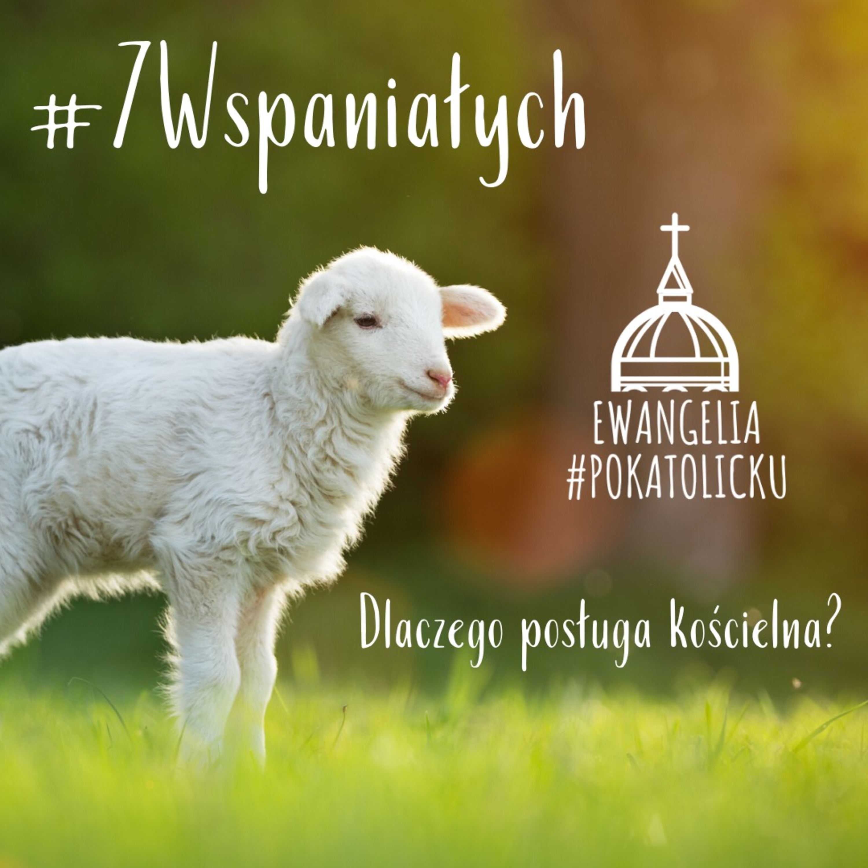 #7Wspaniałych #41 - Dlaczego posługa kościelna? episode artwork