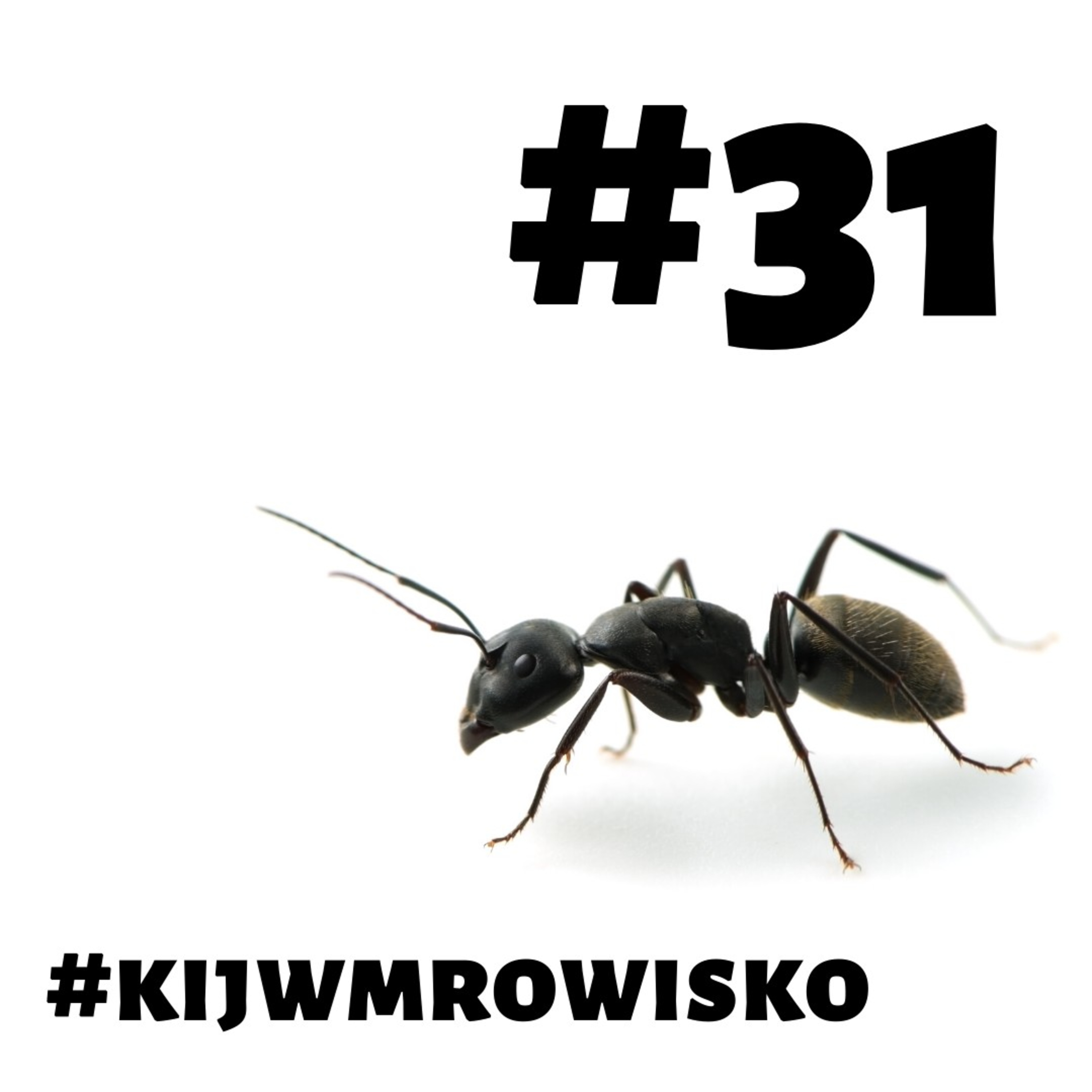 #pokatolicku
