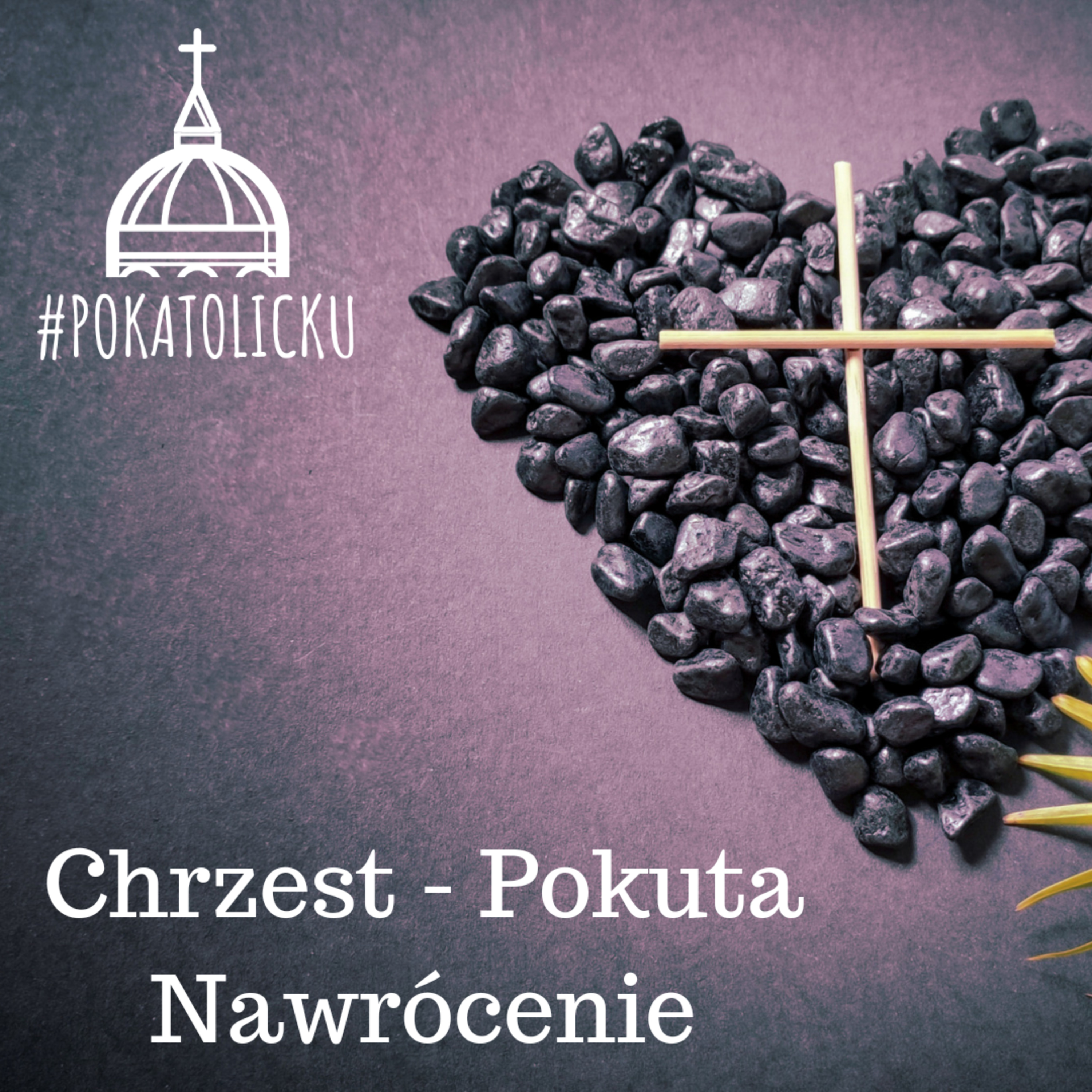 #pokatolicku
