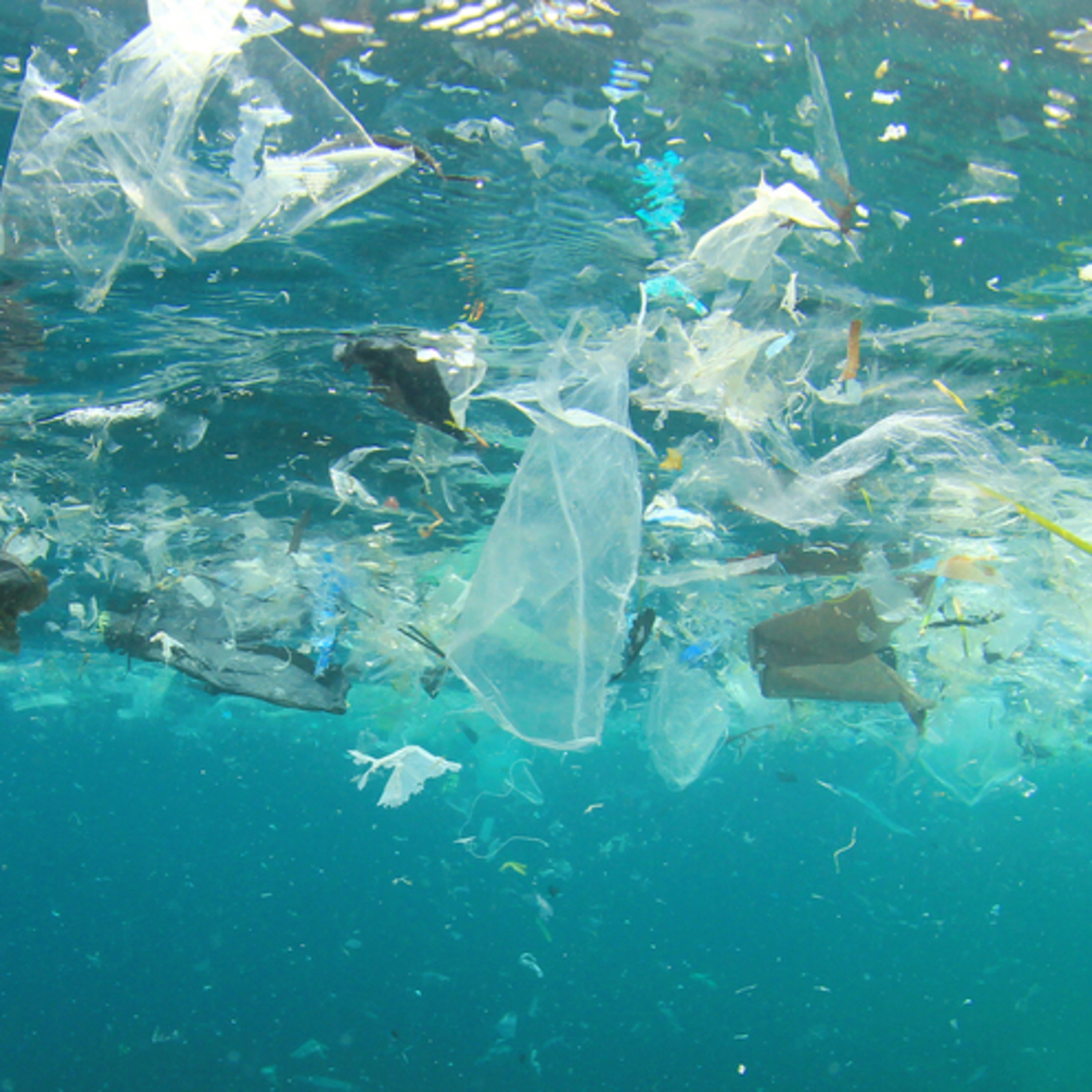 America Adapts: Cruising The Coast