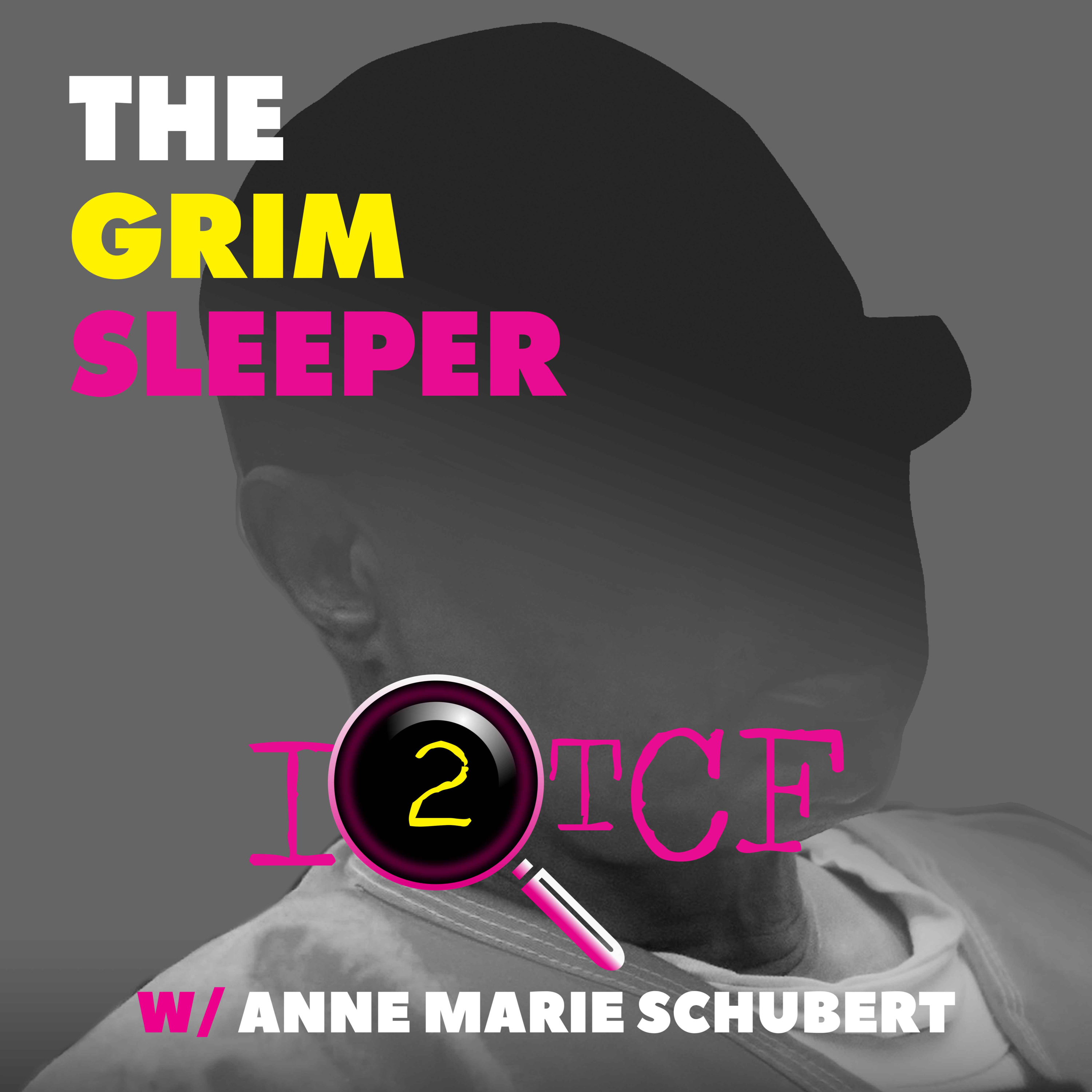 Inside the Crime Files with Anne Marie Schubert