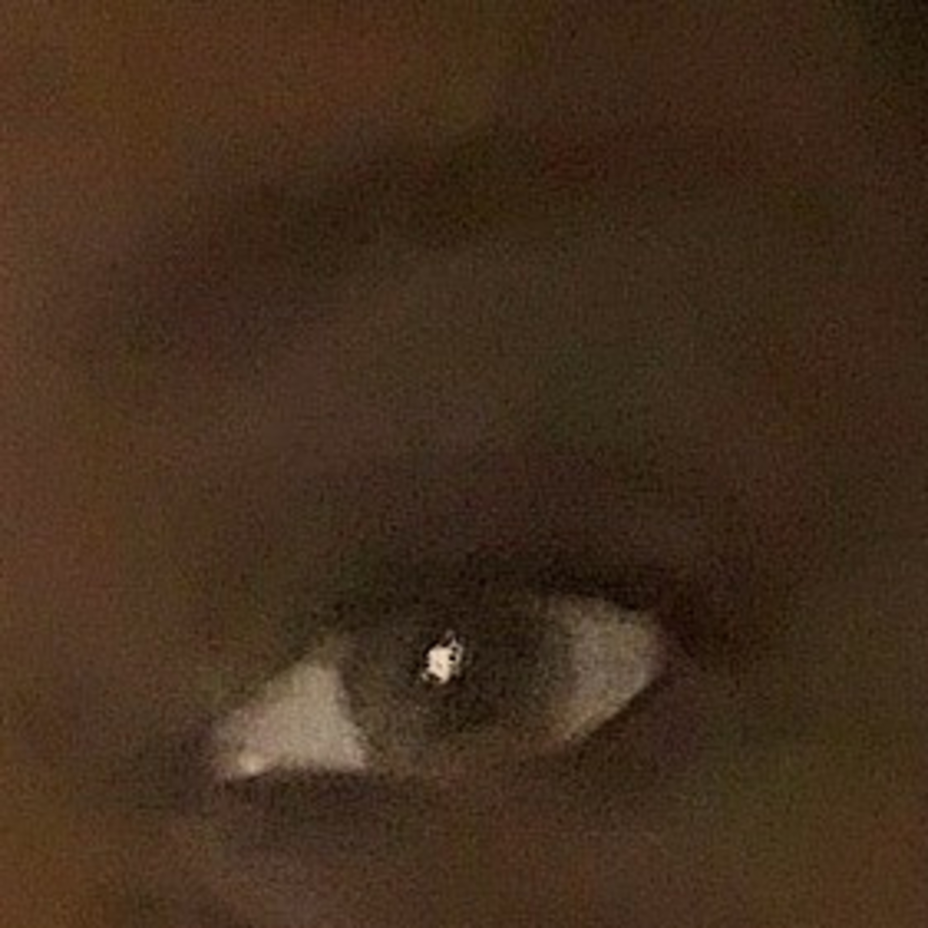 Ponderings of The Qwan aka Trinya Murphy