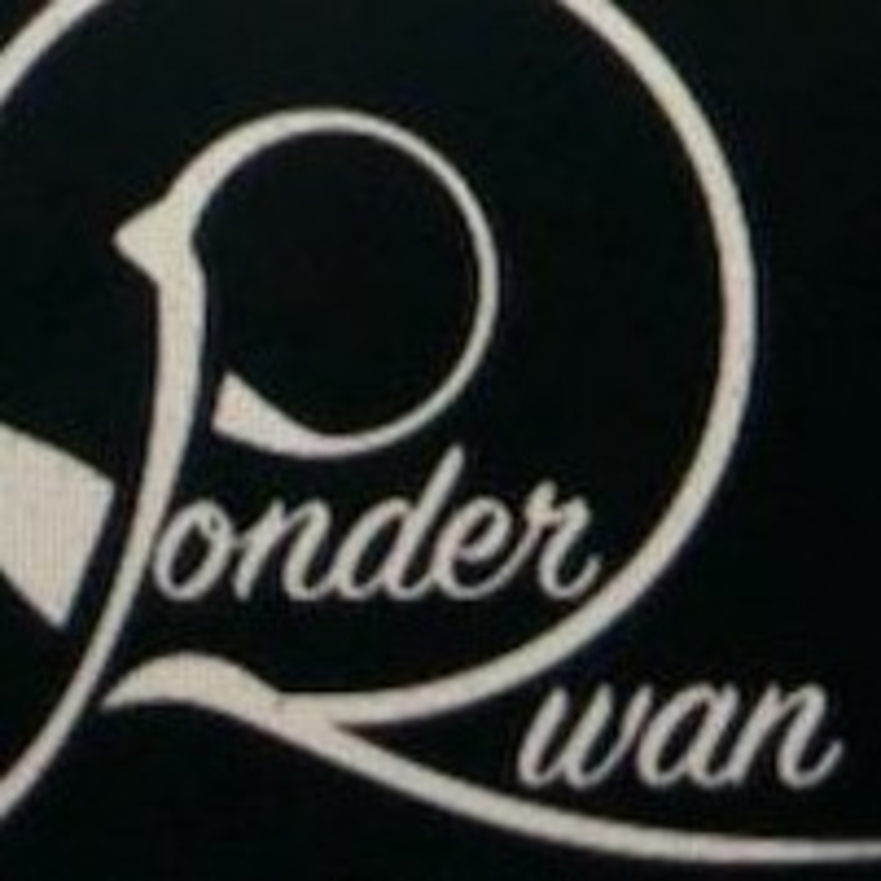 Ponderings of The Qwan aka Trinya Murphy