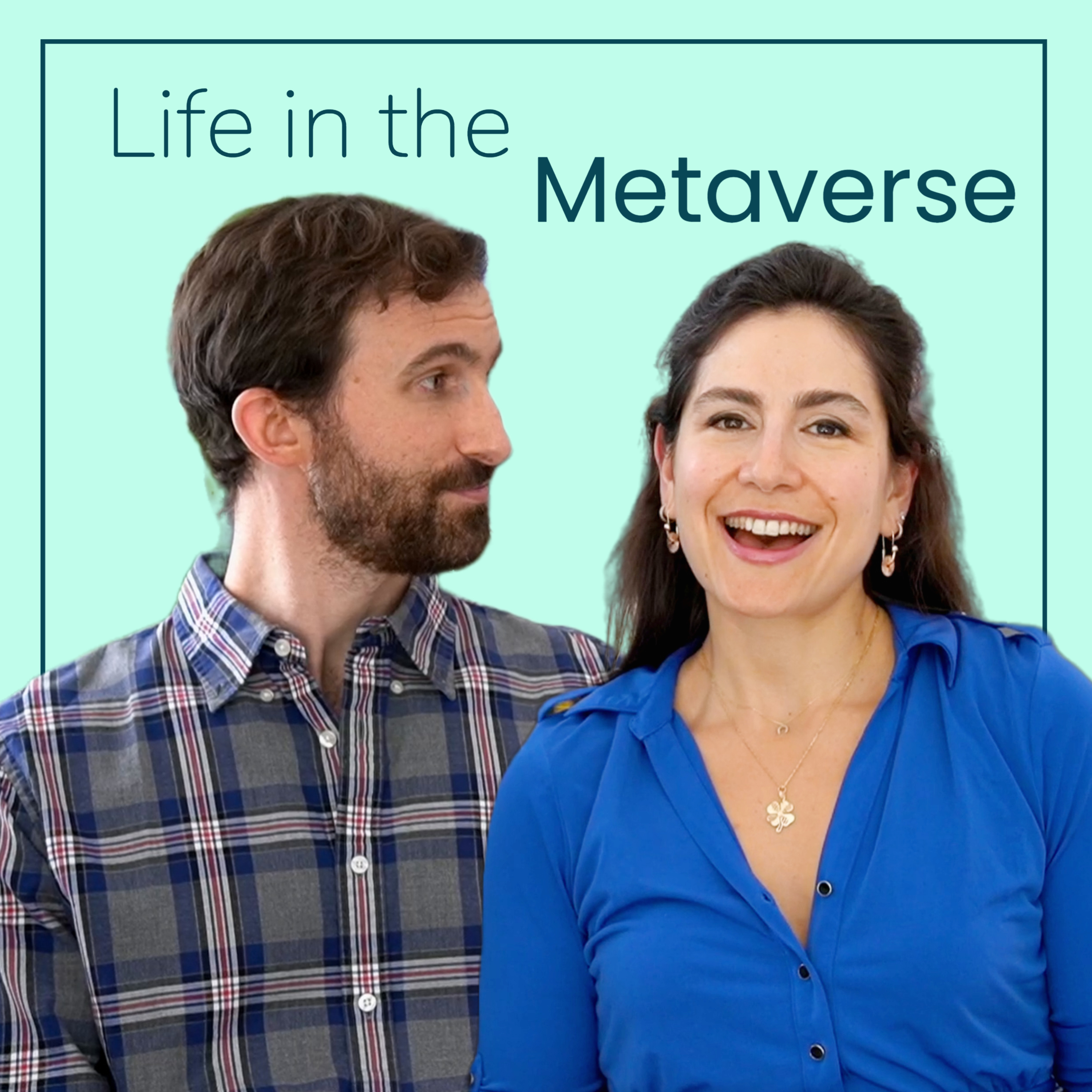 Life in the Metaverse -- Advanced English Conversation and Listening Comprehension Worksheet