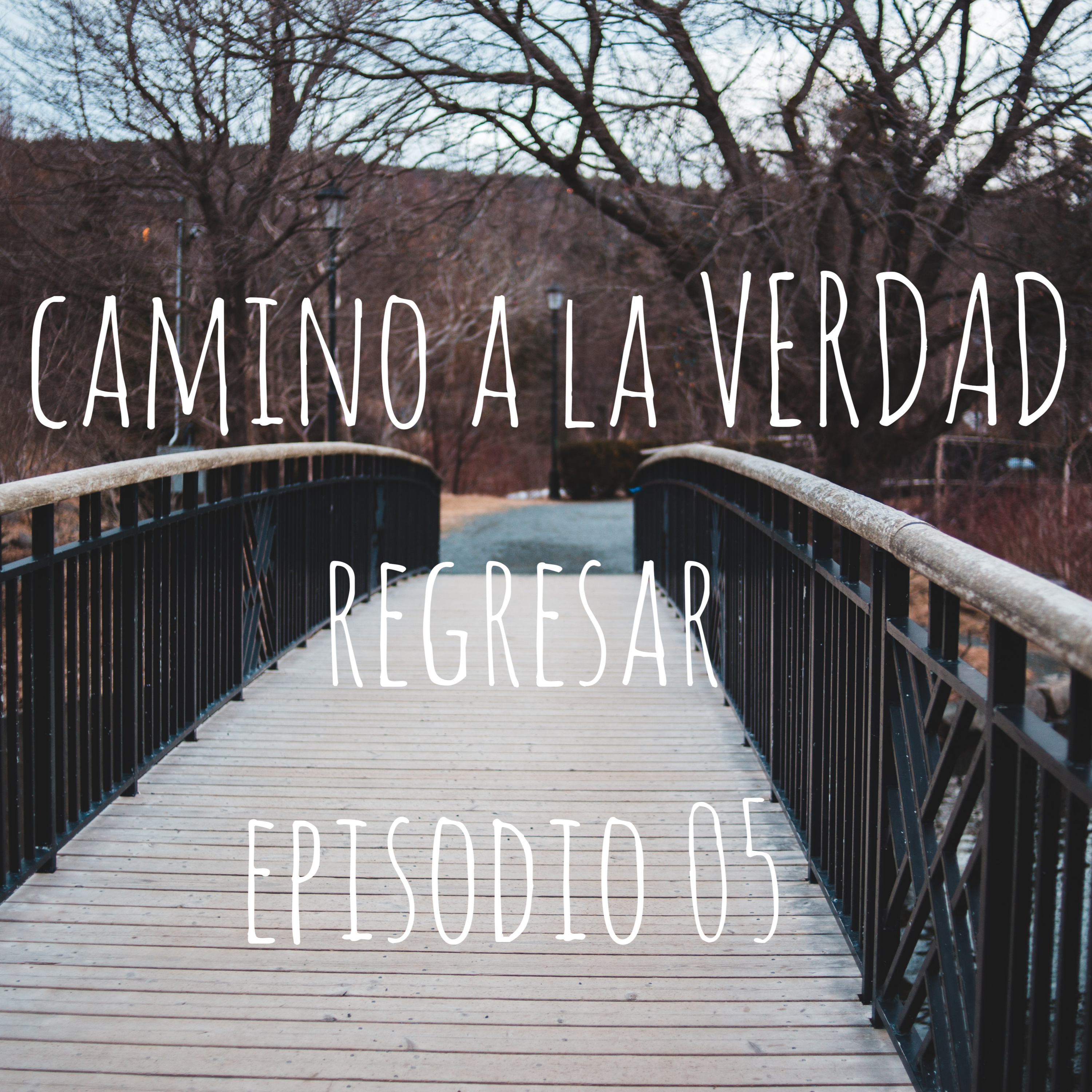 Regresar - Episodio 05