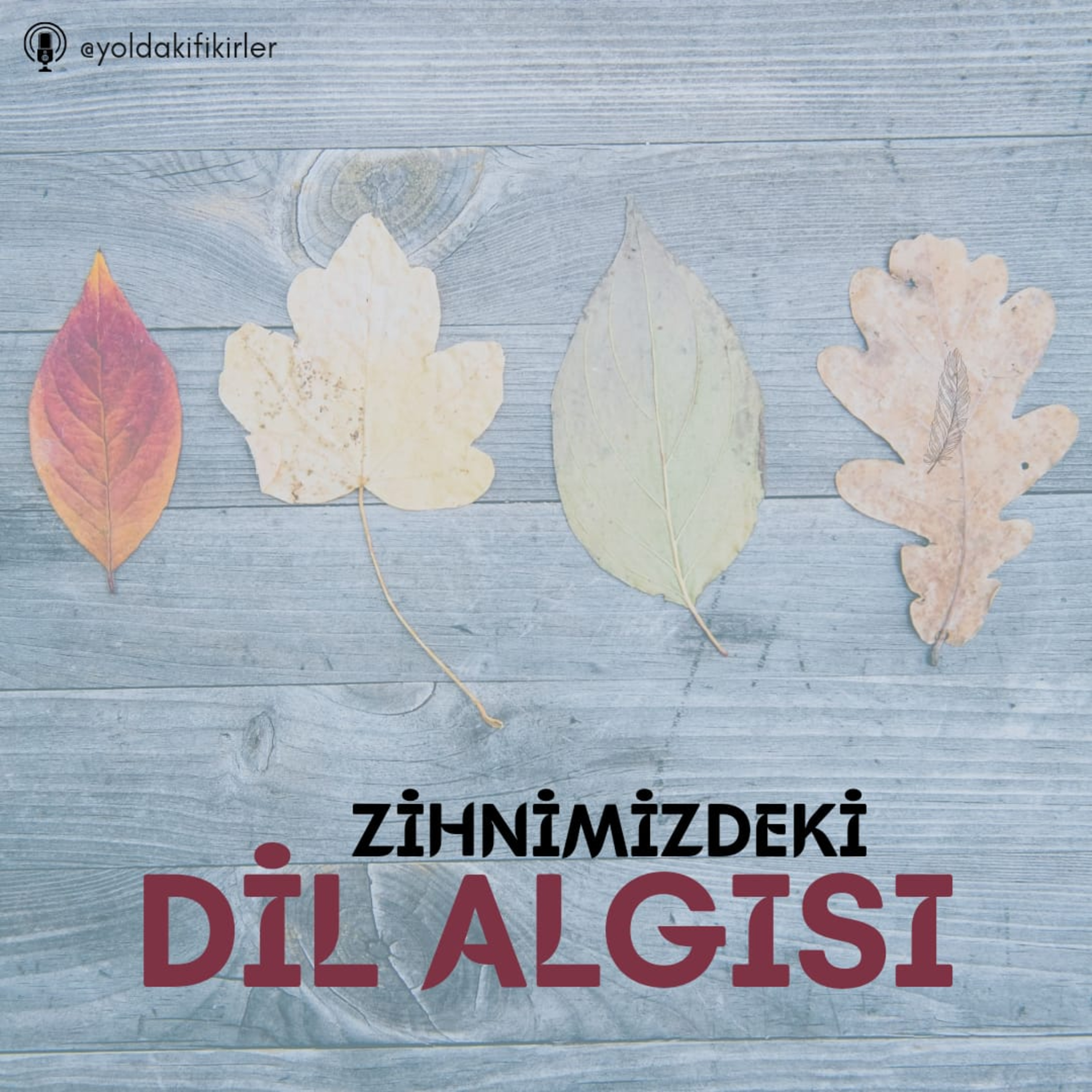 23 - Zihnimizdeki Dil Algısı episode artwork