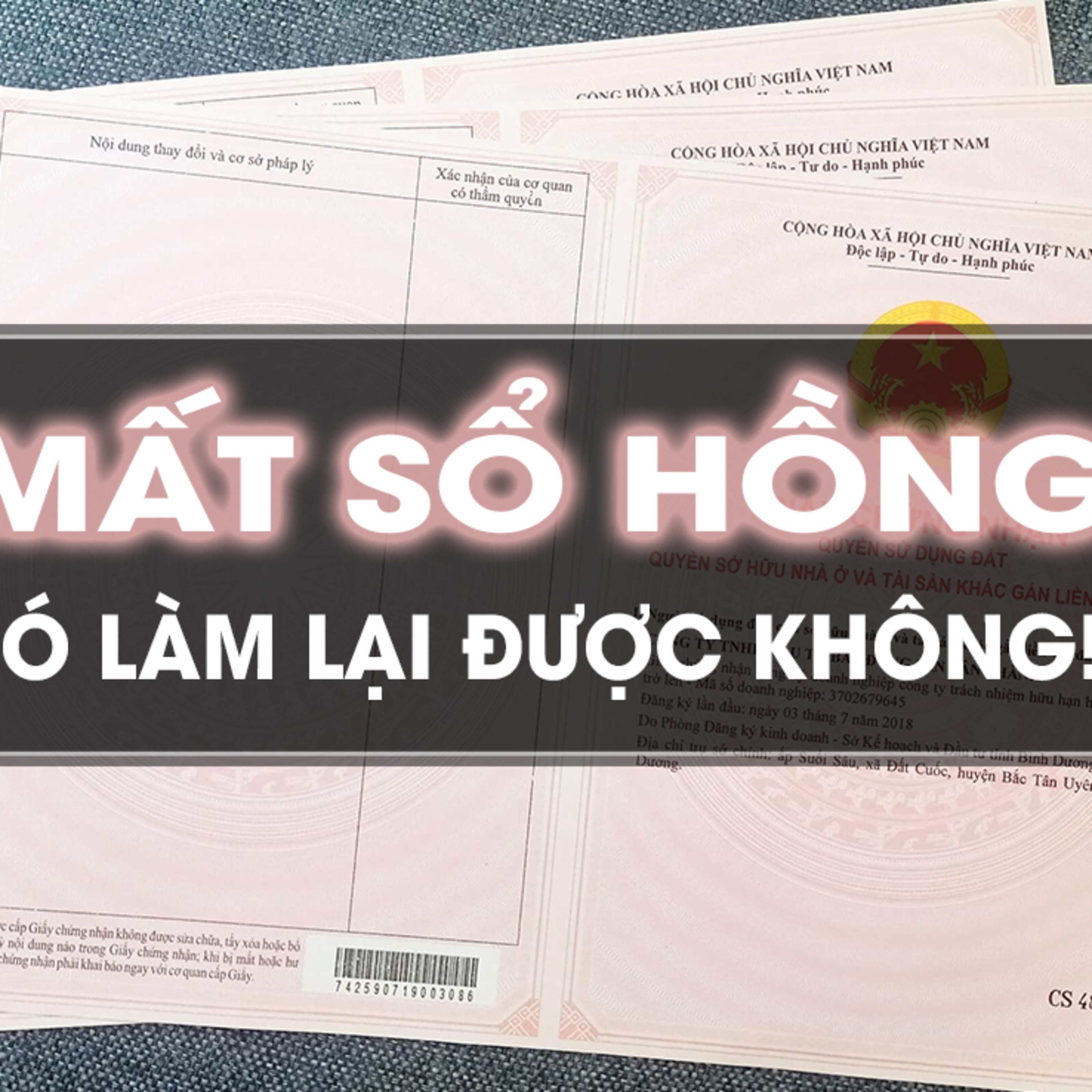 KIMPHUC DAKLAK