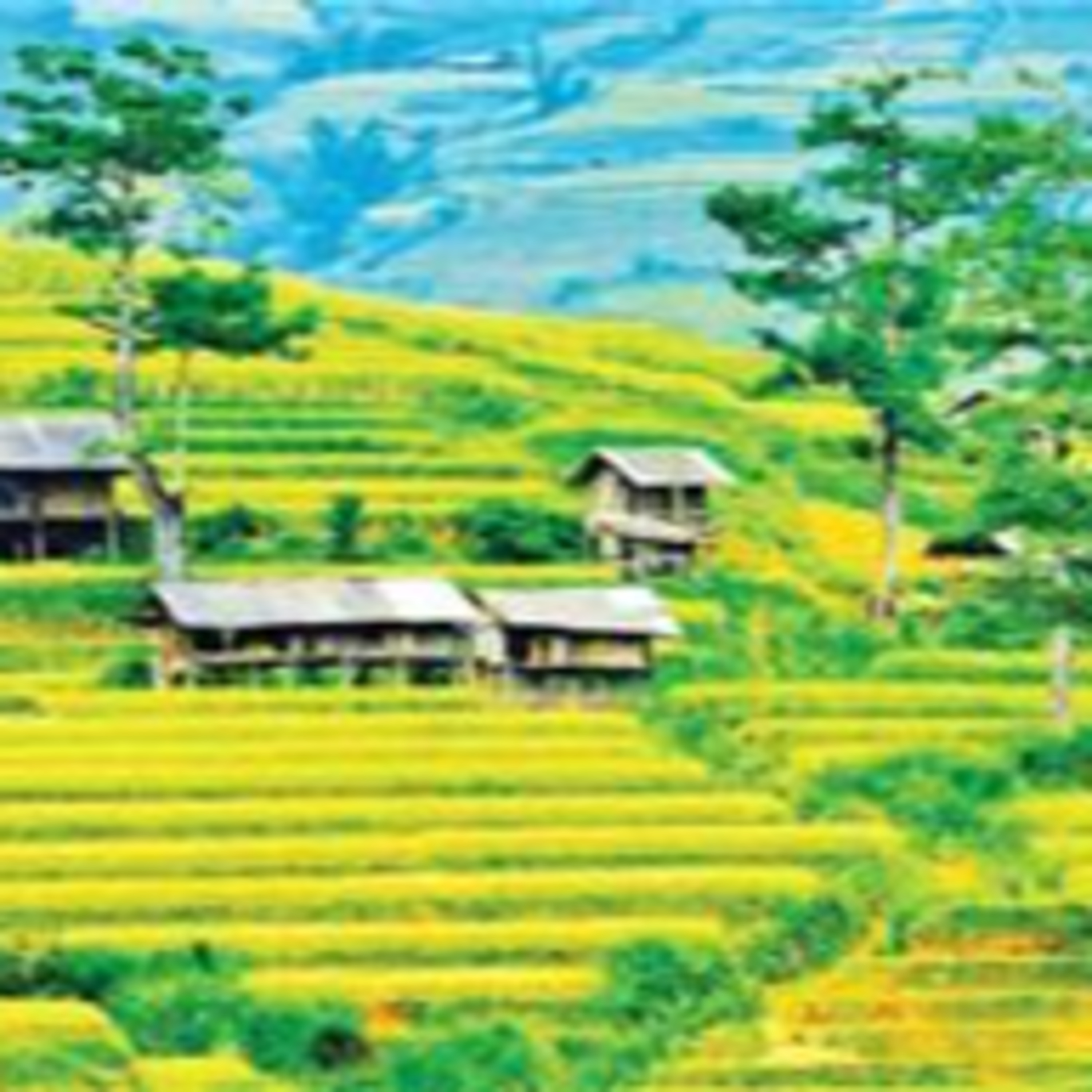 KIMPHUC DAKLAK