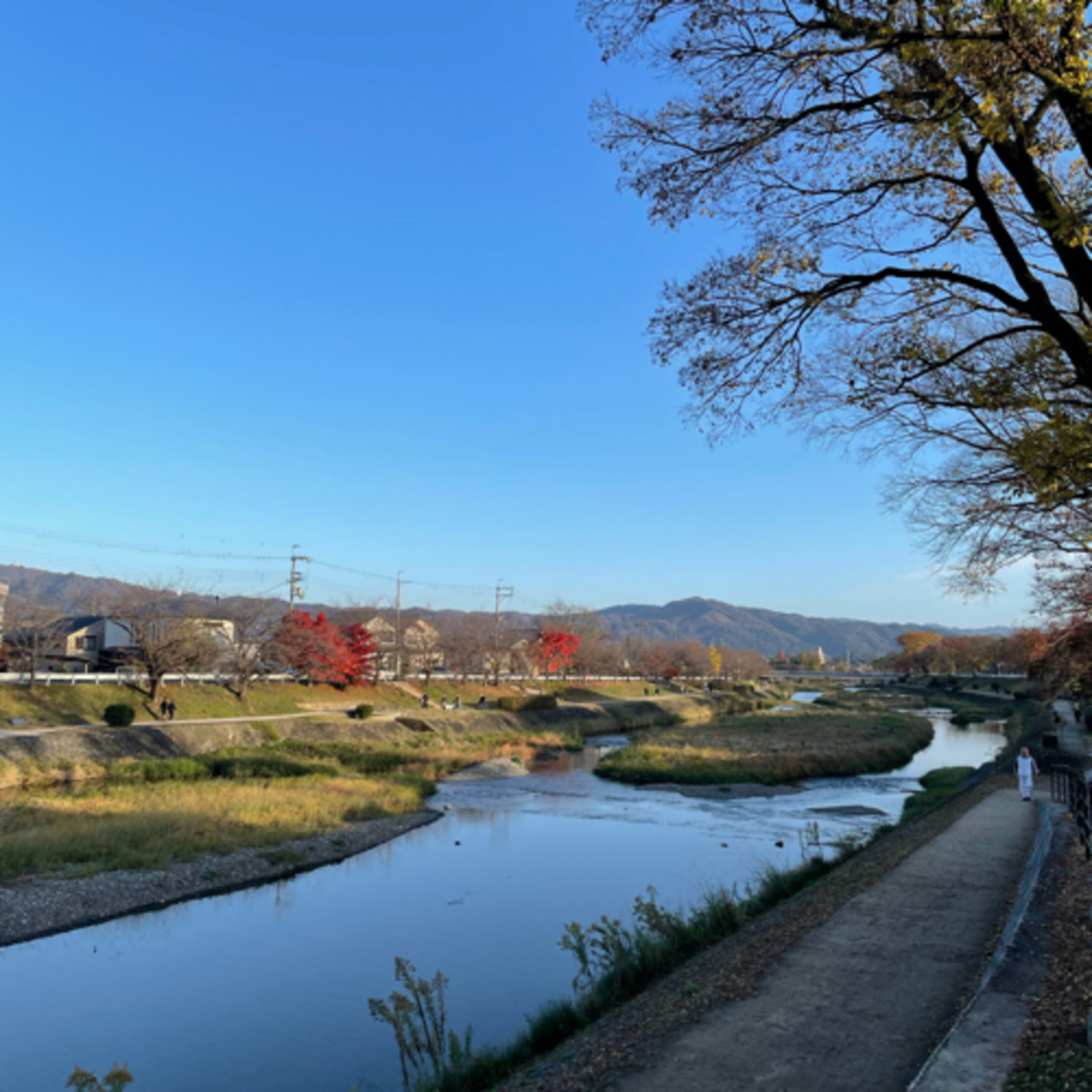12月が始まった