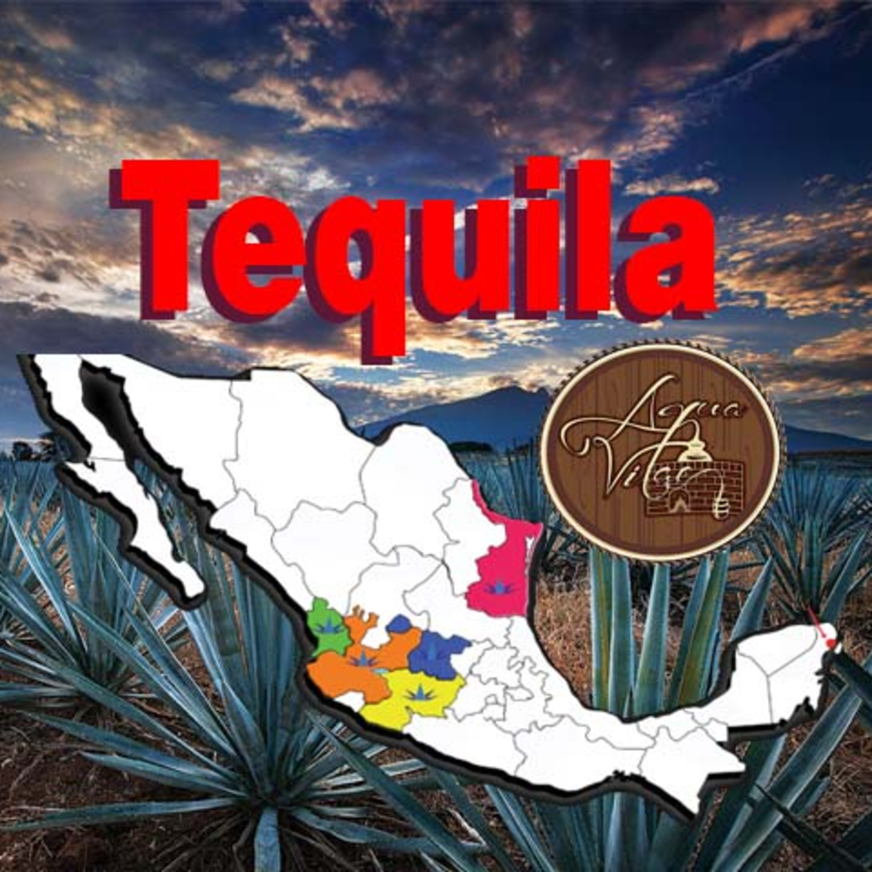 Qué es y como se hace el Tequila