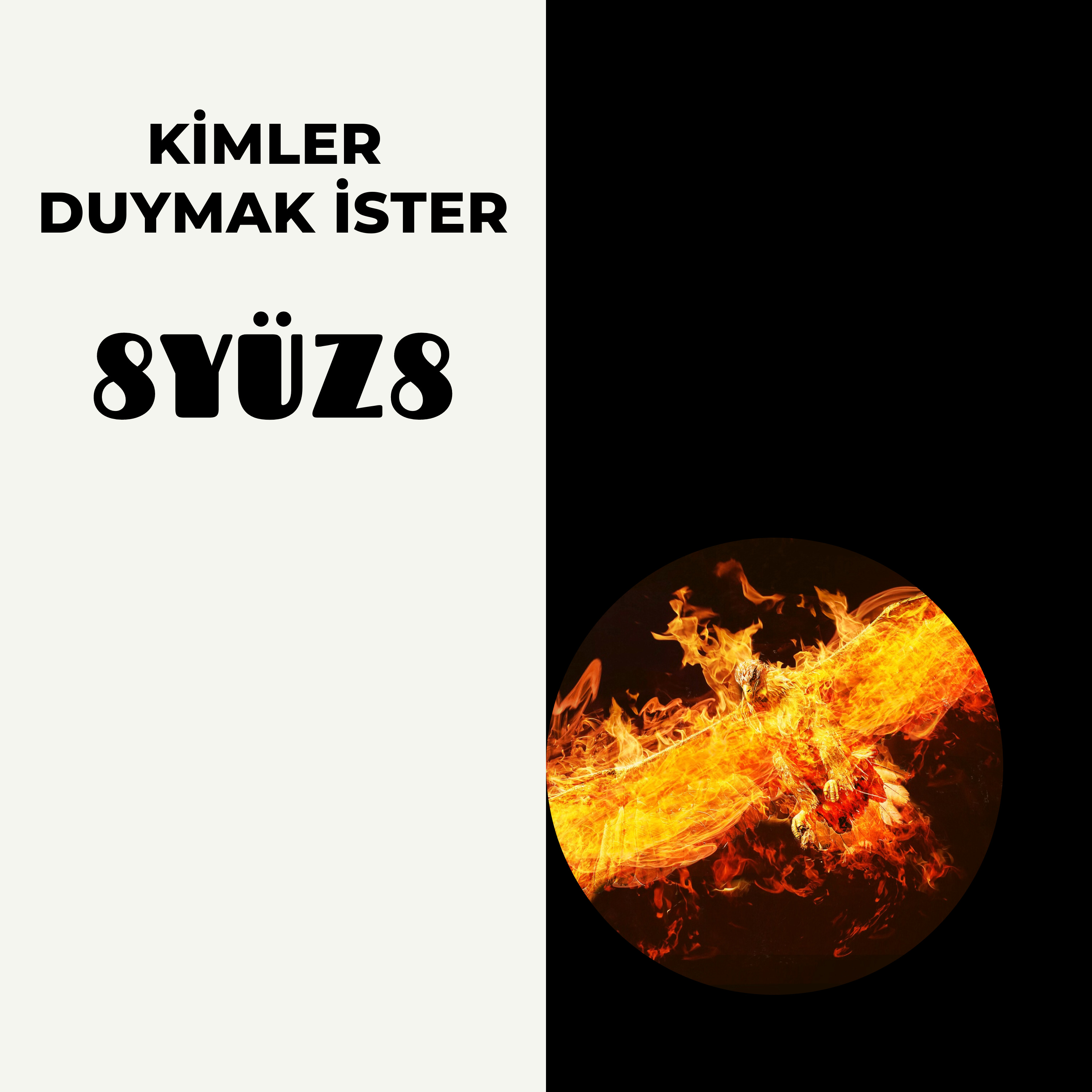 Faruk Nebiler -8yüz8
