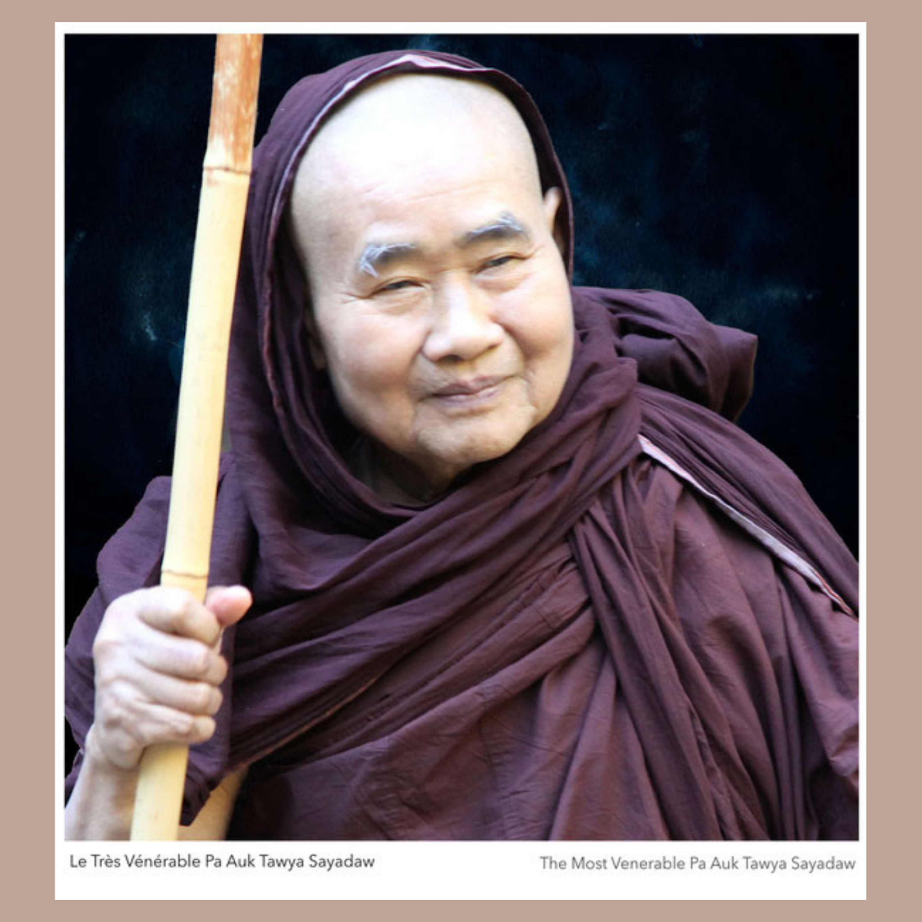 7. Pháp thoại: Duyên hệ - Pa Auk Sayadawgyi - Đà Lạt 2014 episode artwork