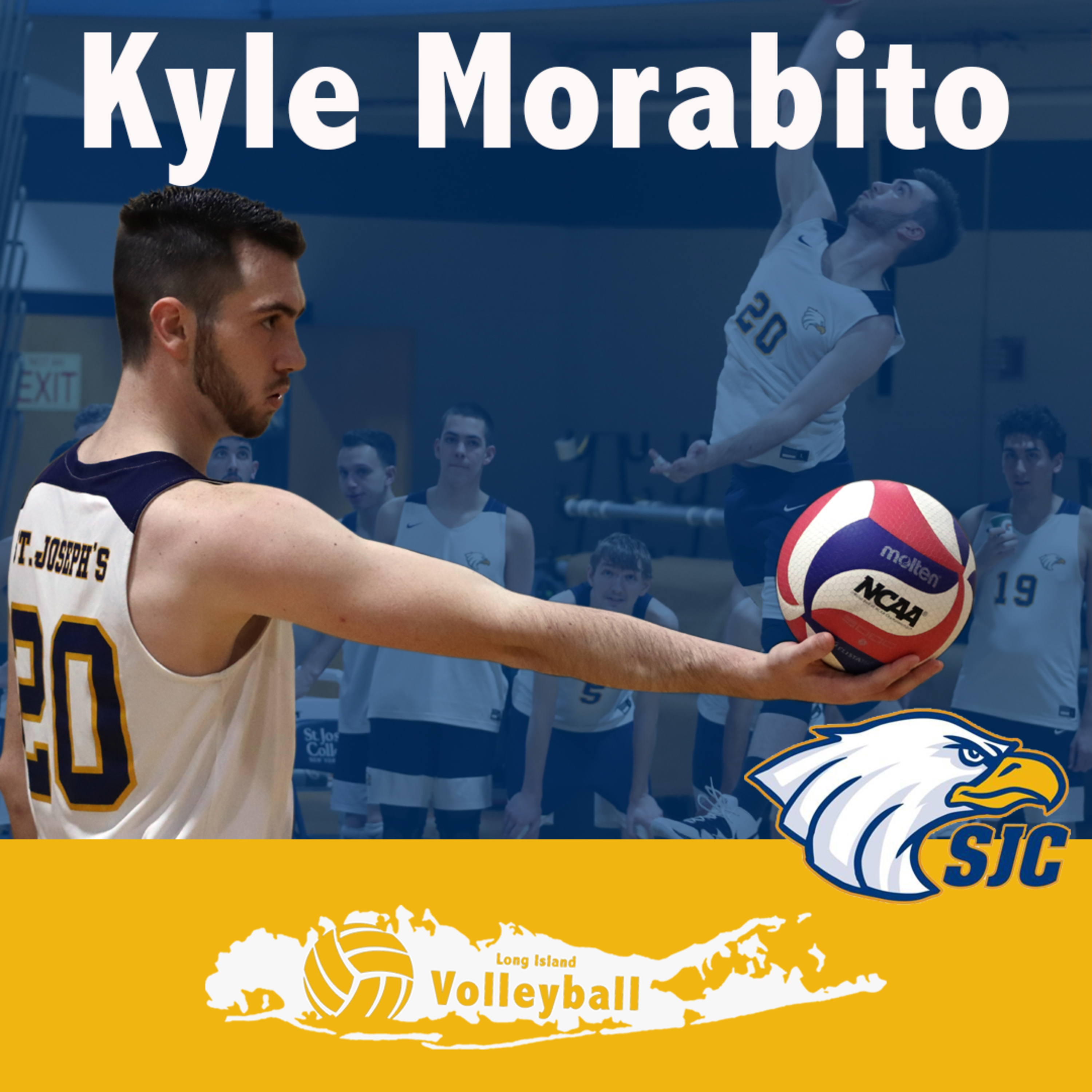 The Long Island Volleyball Podcast