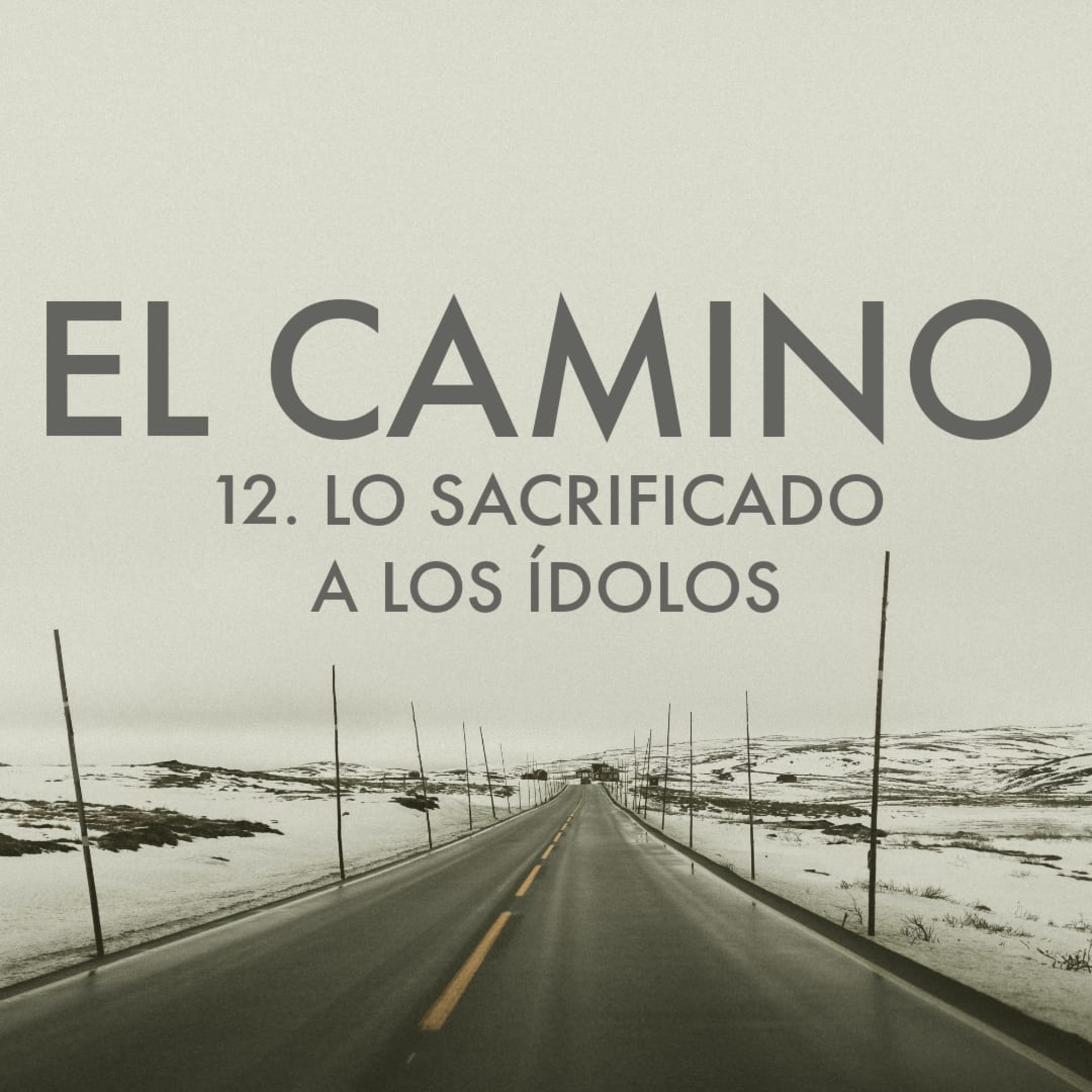 El Camino
