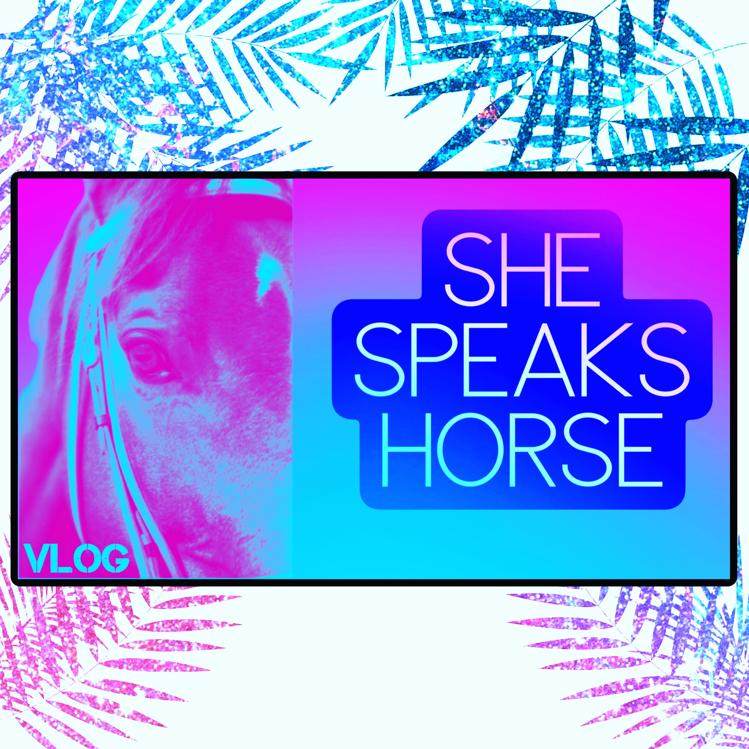 SHE SPEAKS HORSE VLOGS | LOUIE 🐎