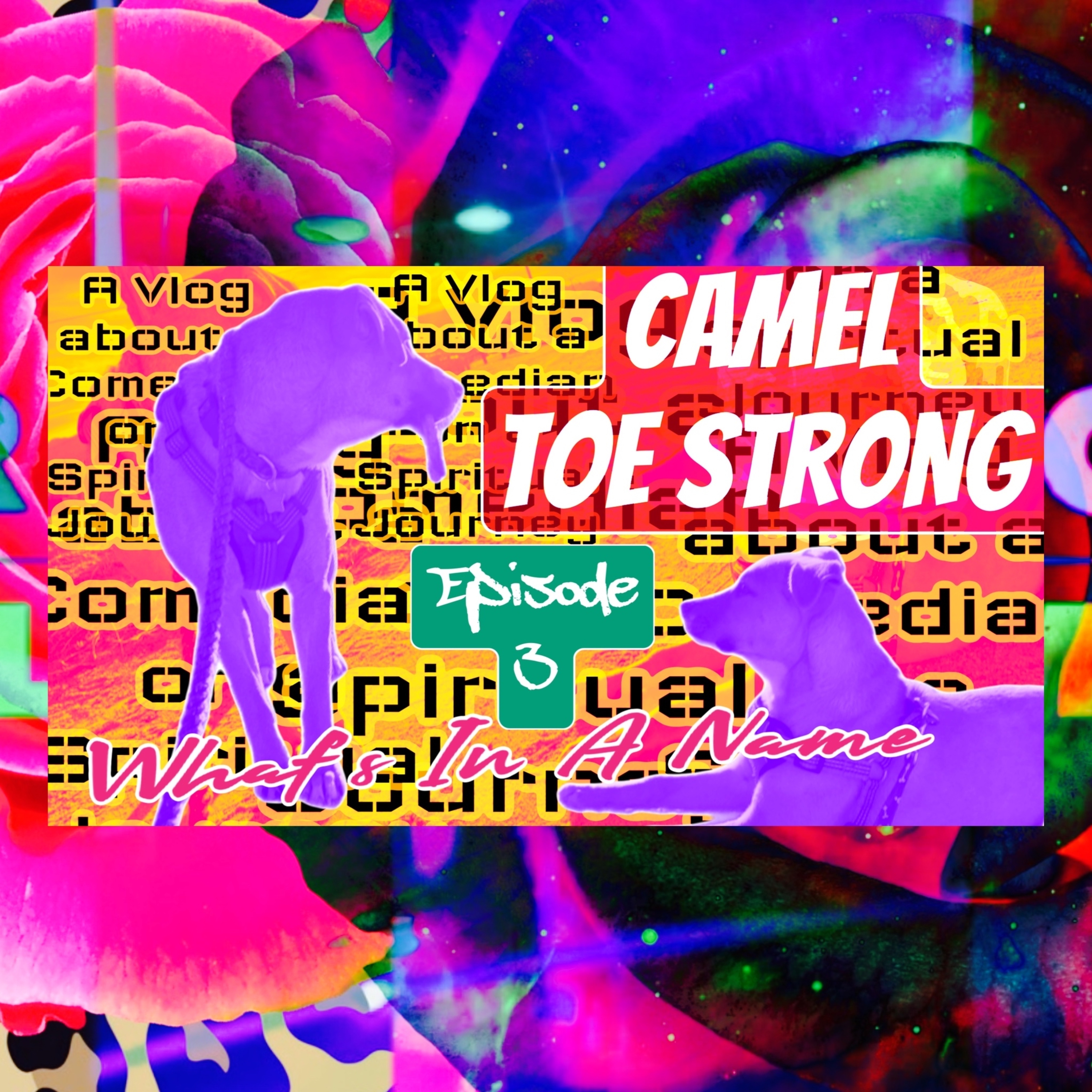 CAMEL TOE STRONG EPISODE 3 | WHAT'S IN A NAME | A VLOG ABOUT A COMEDIAN ON A SPIRITUAL JOURNEY