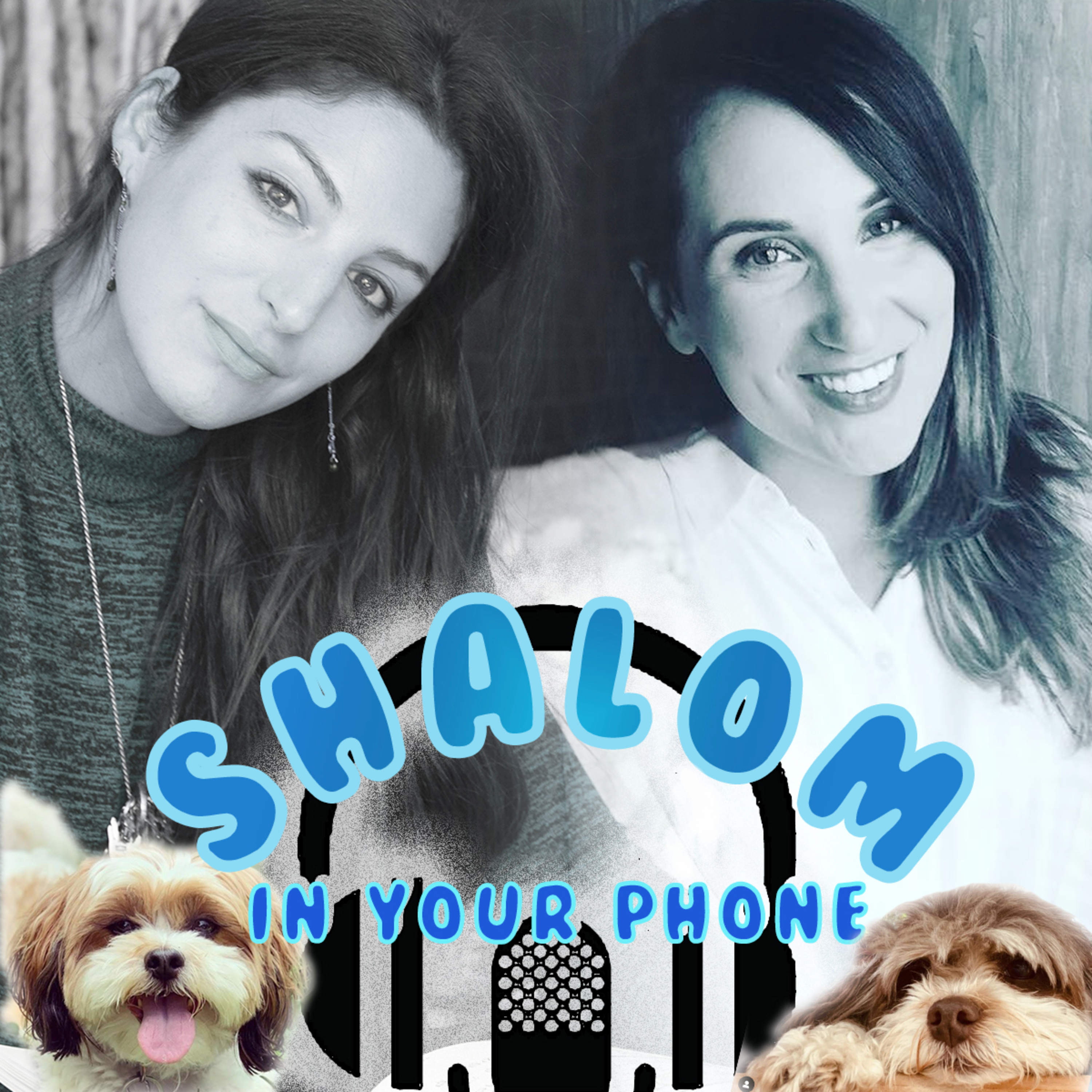 Shalom In Your Phone!