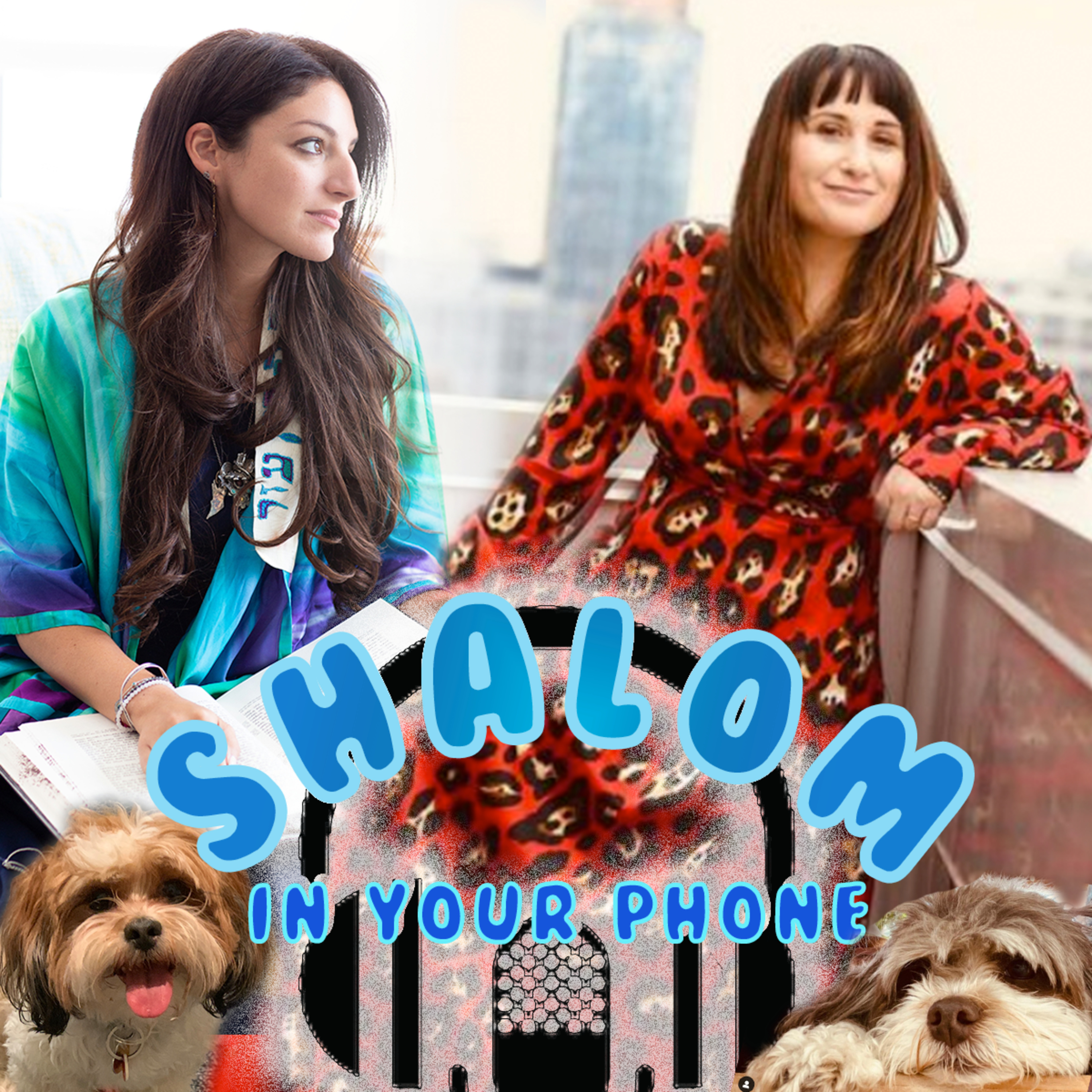 Shalom In Your Phone!