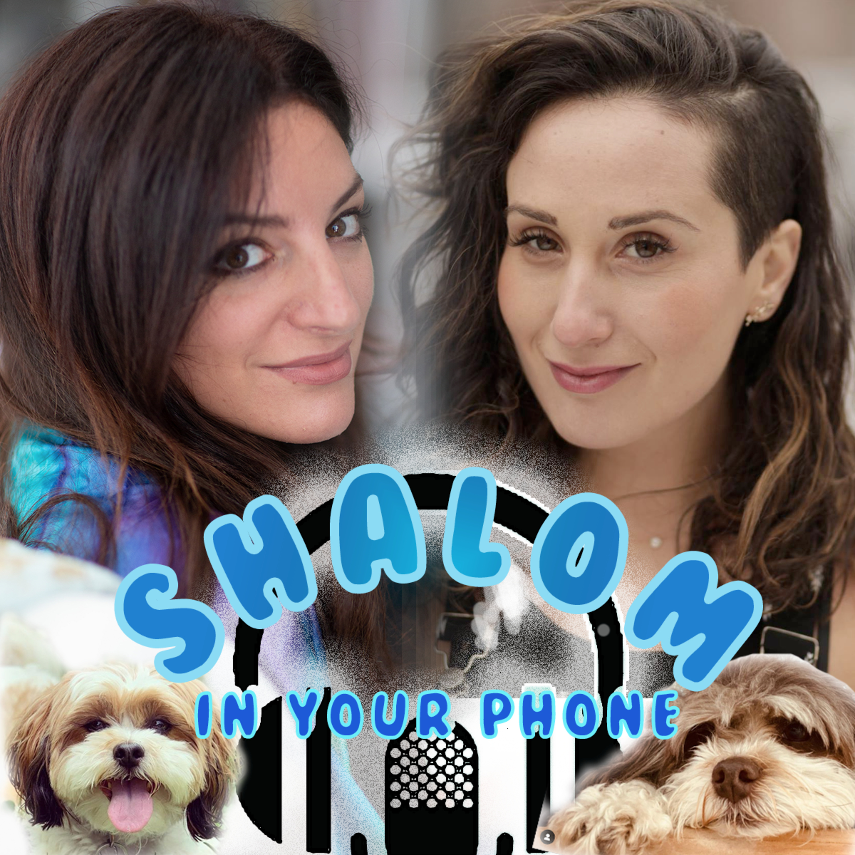 Shalom In Your Phone!