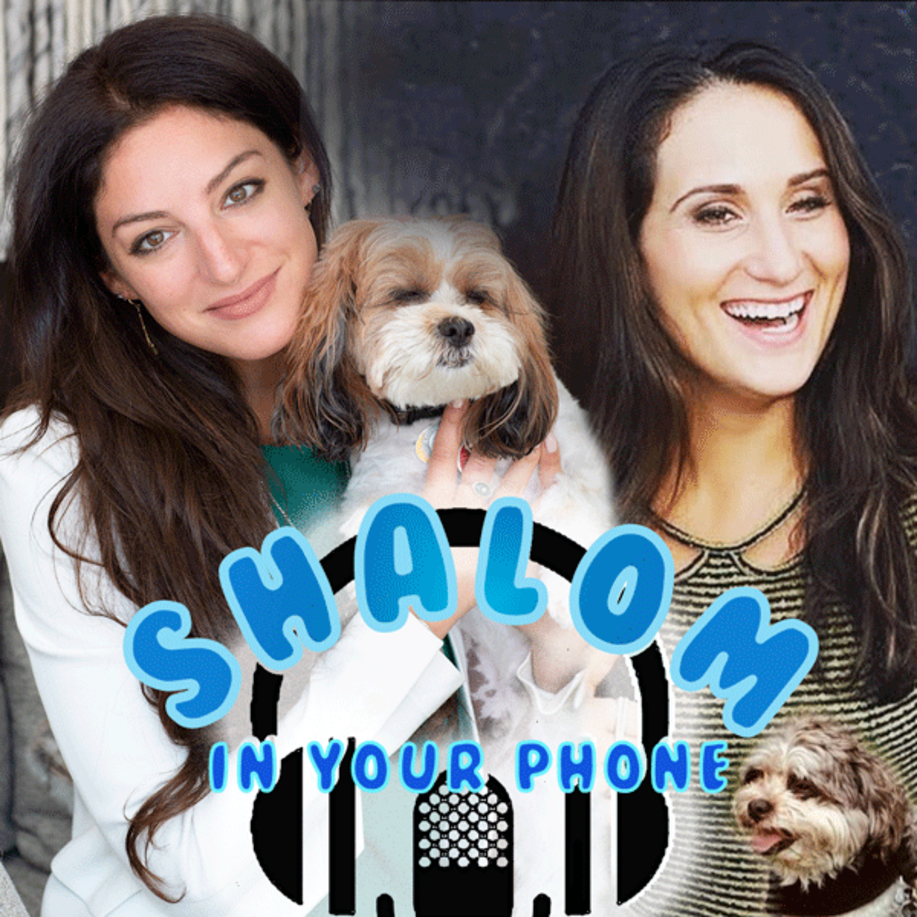 Shalom In Your Phone!