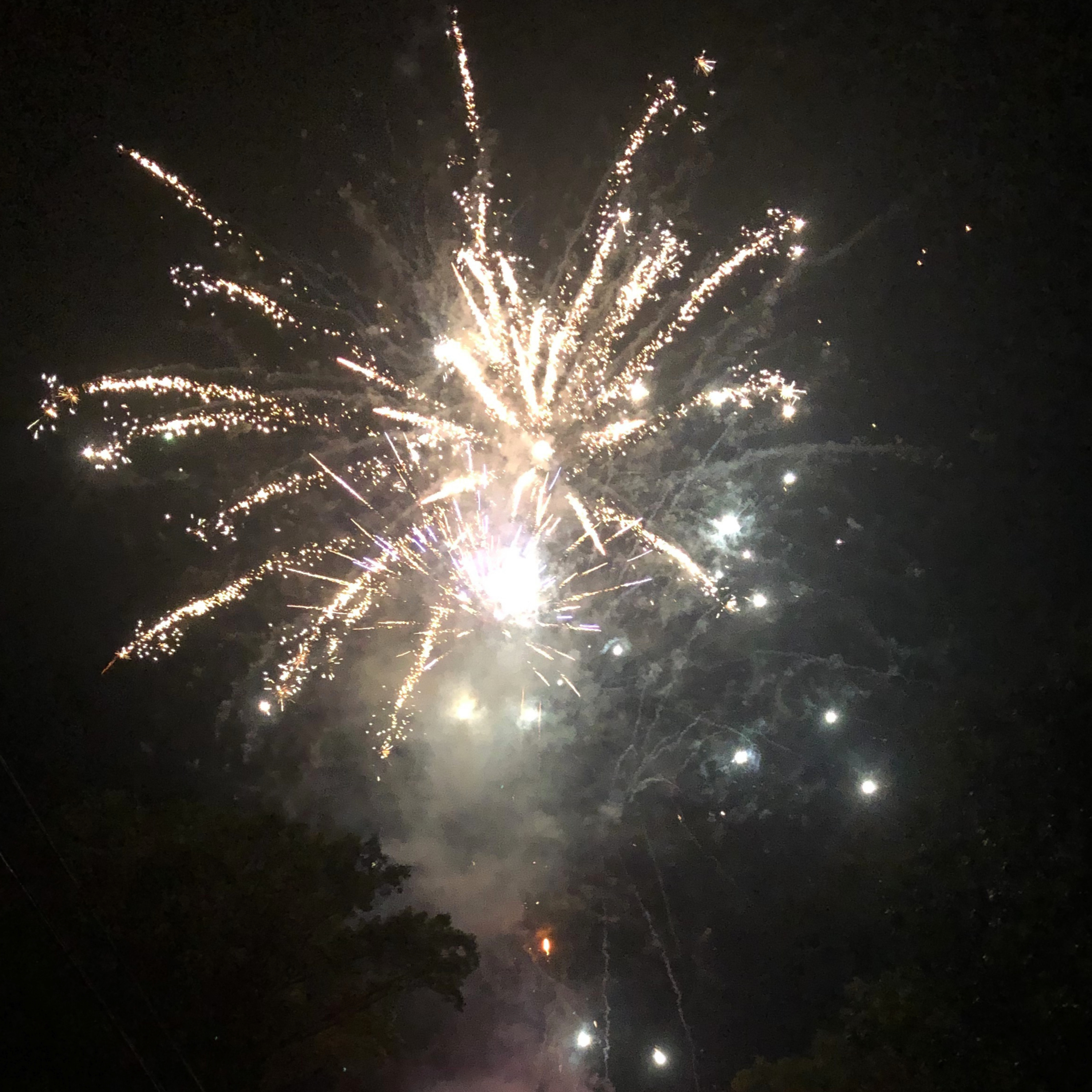 Bitcoin and Bring us back to 1776 Happy 4th Bitcoin and Bring us back to 1776 Happy 4th