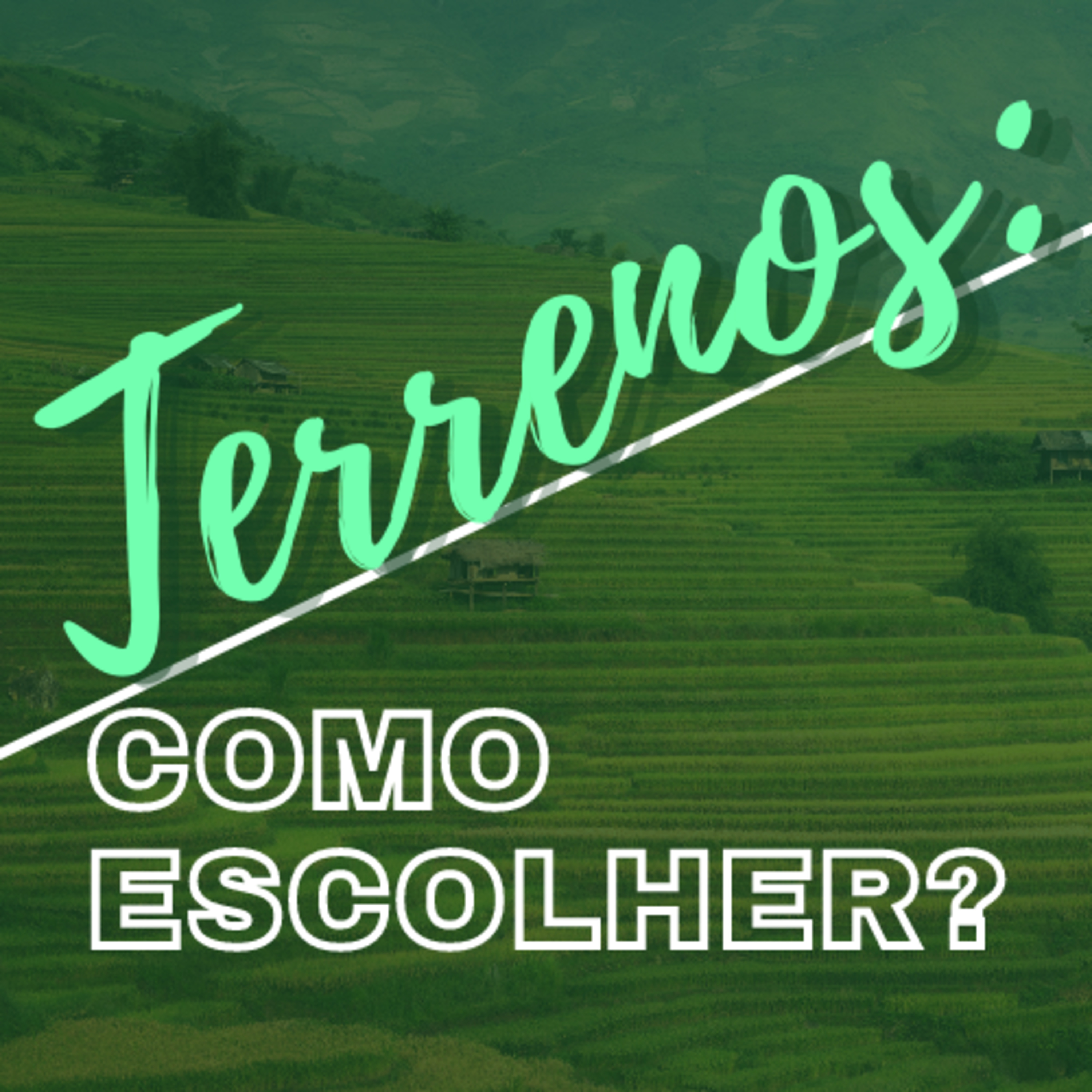 Quase tudo sobre Arquitetura