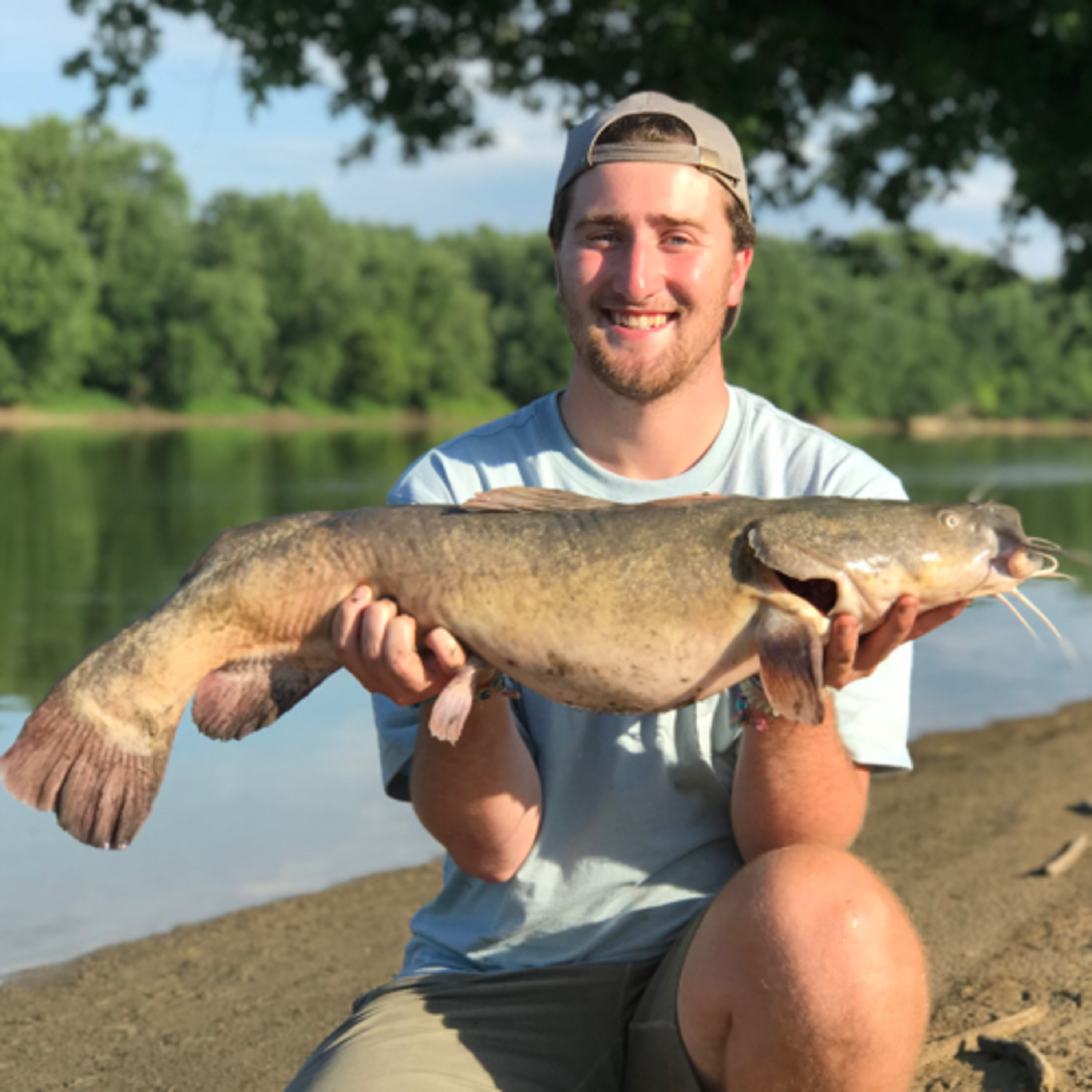CATFISH - Our whiskered friends