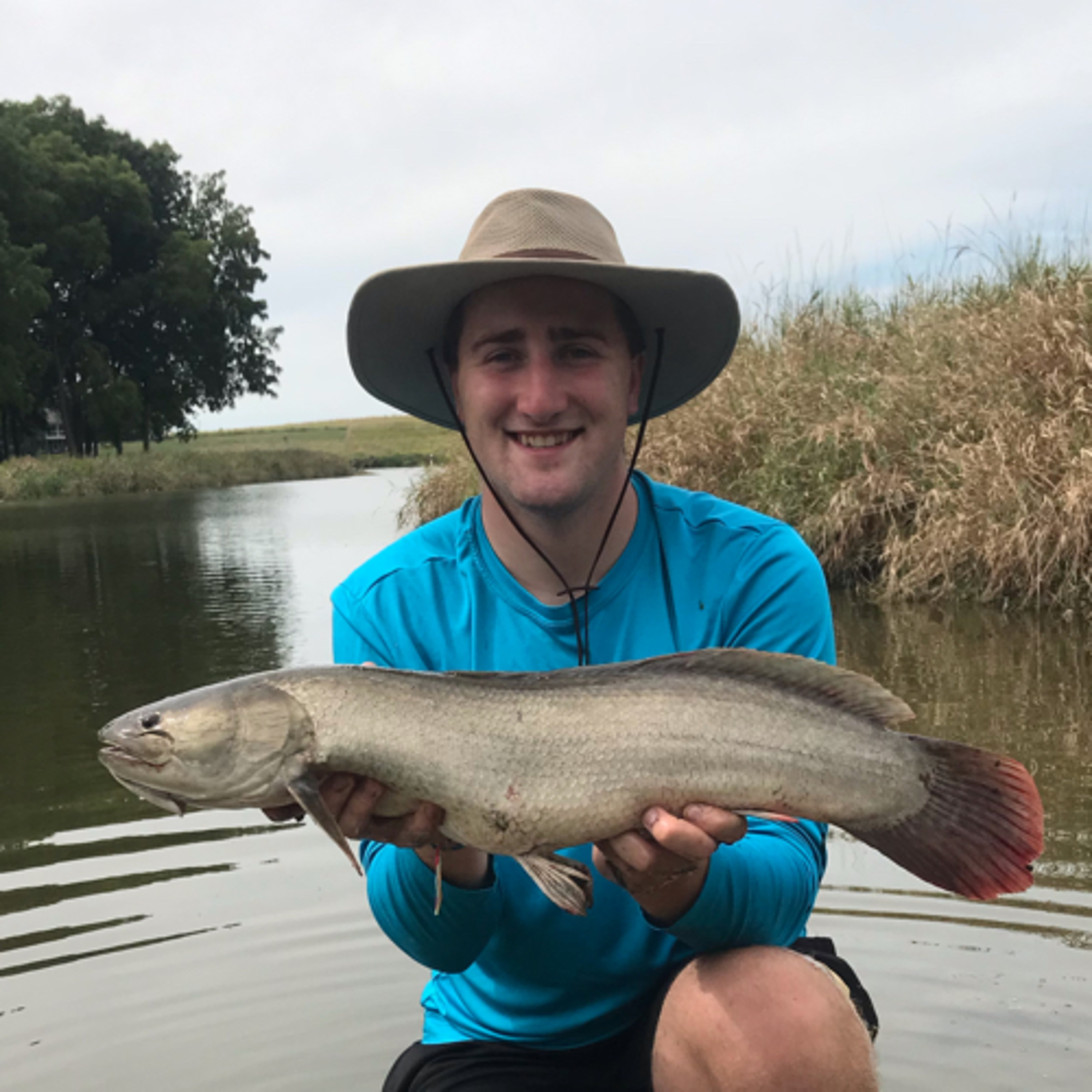 BOWFIN - Dinosaurs Part 1