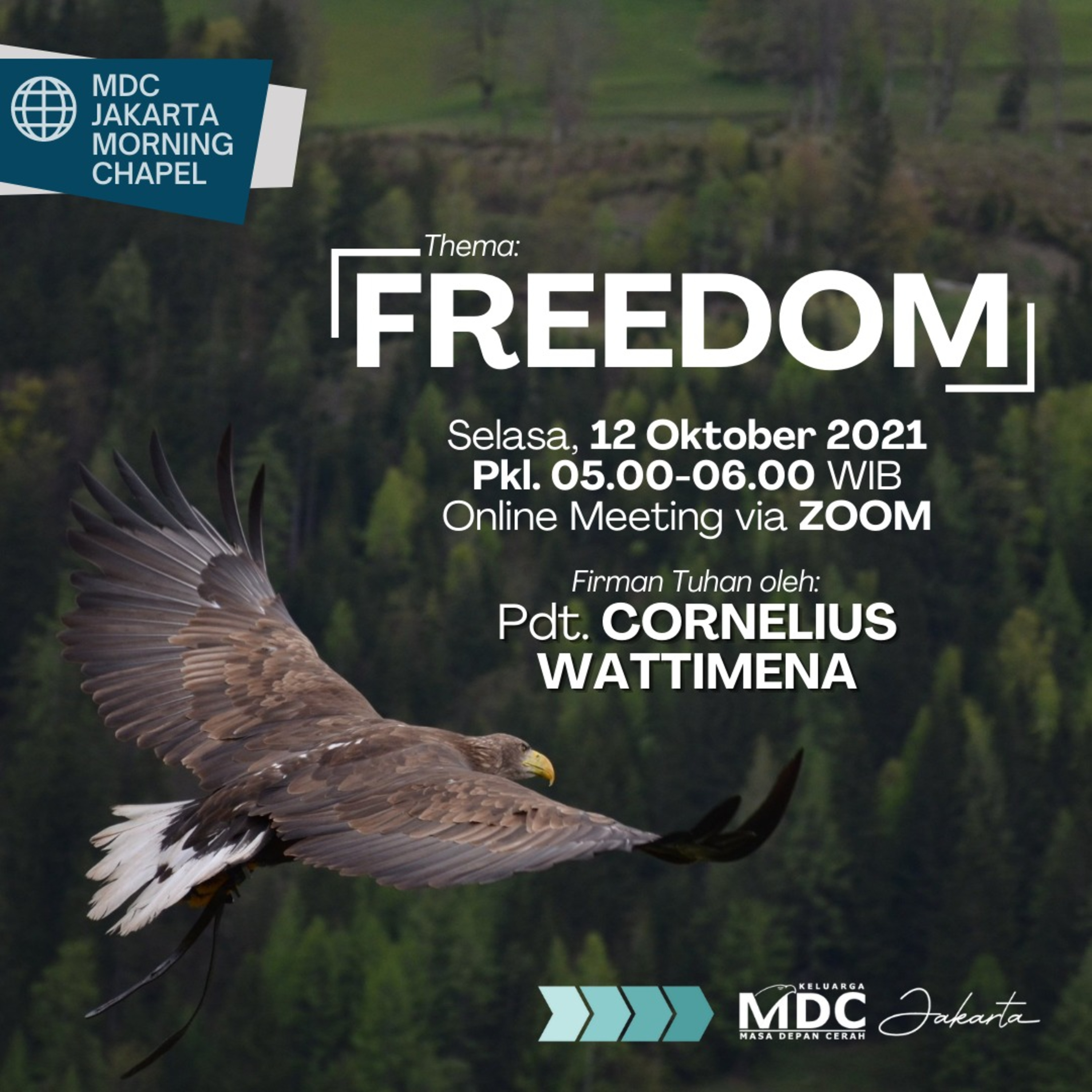 Freedom episode artwork