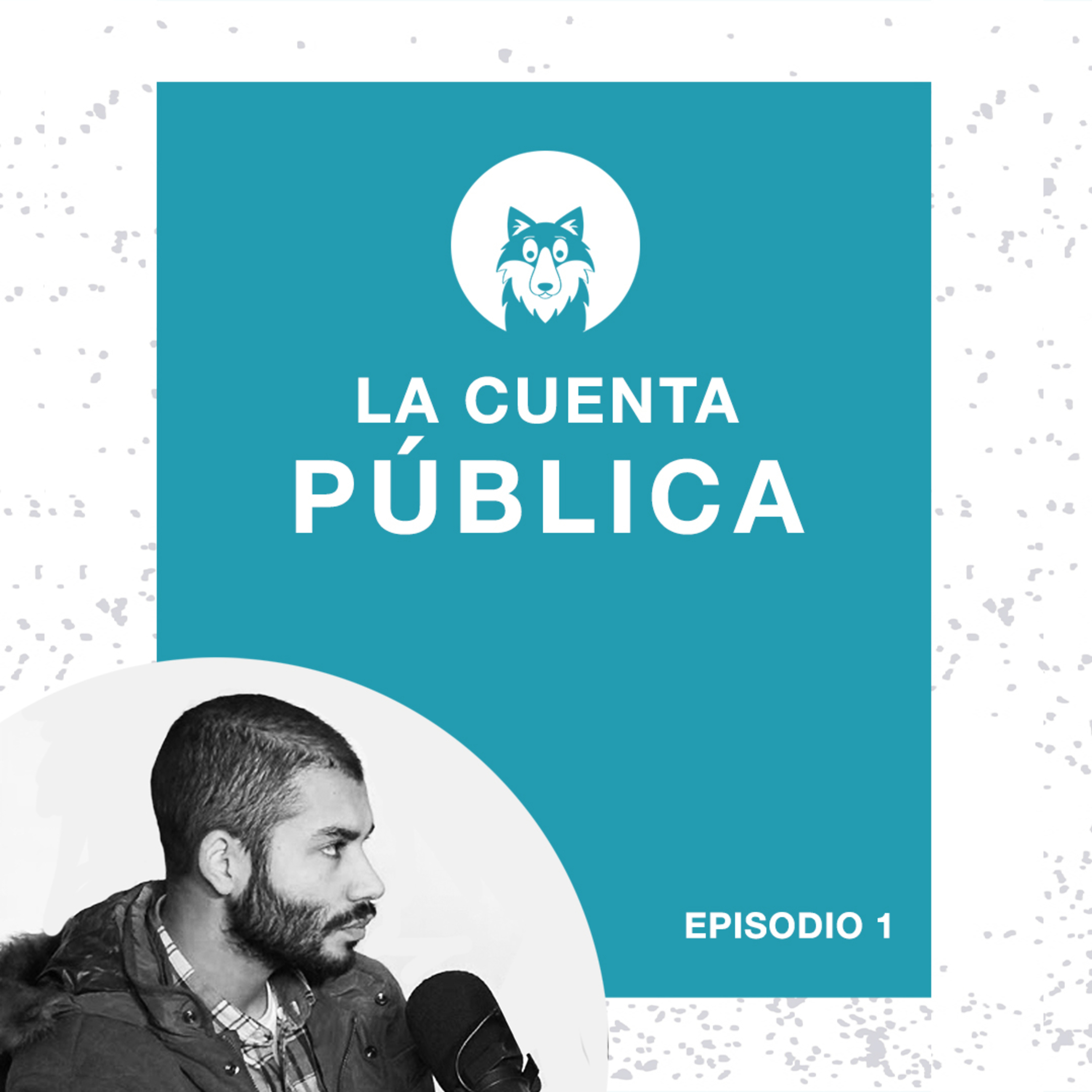 La Cuenta Pública de Renato Garin