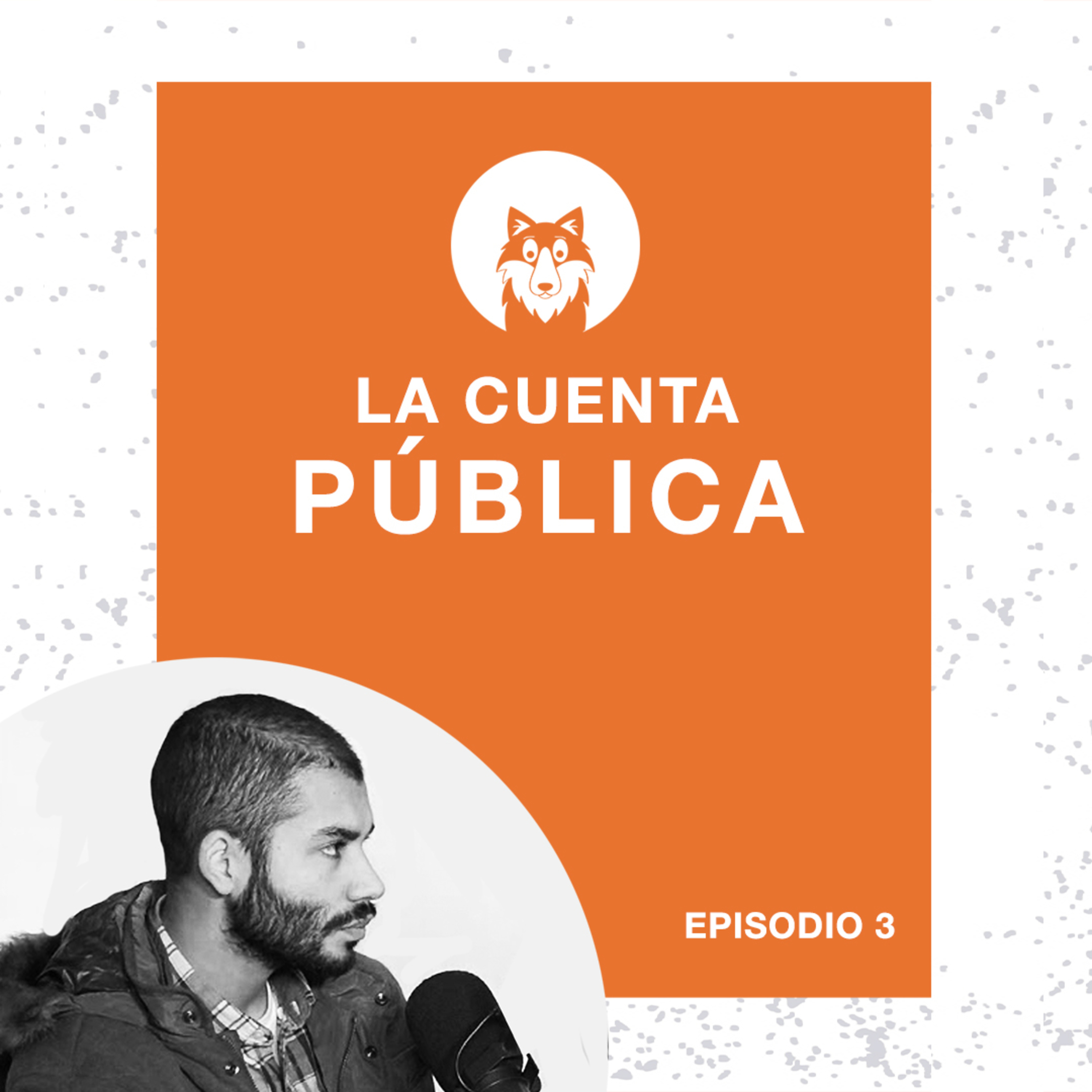 La Cuenta Pública de Renato Garin