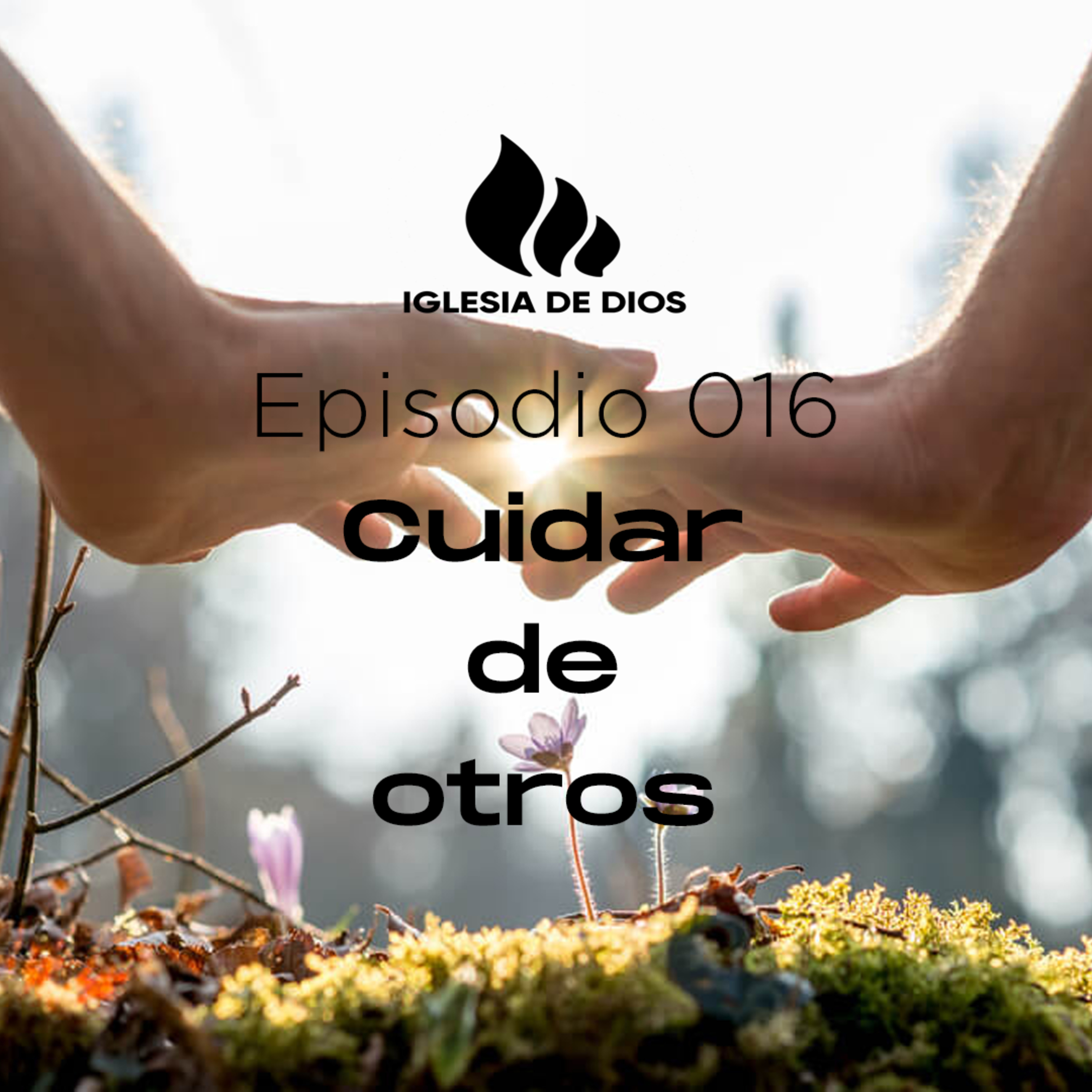Cuidar de otros Ep. 016 episode artwork