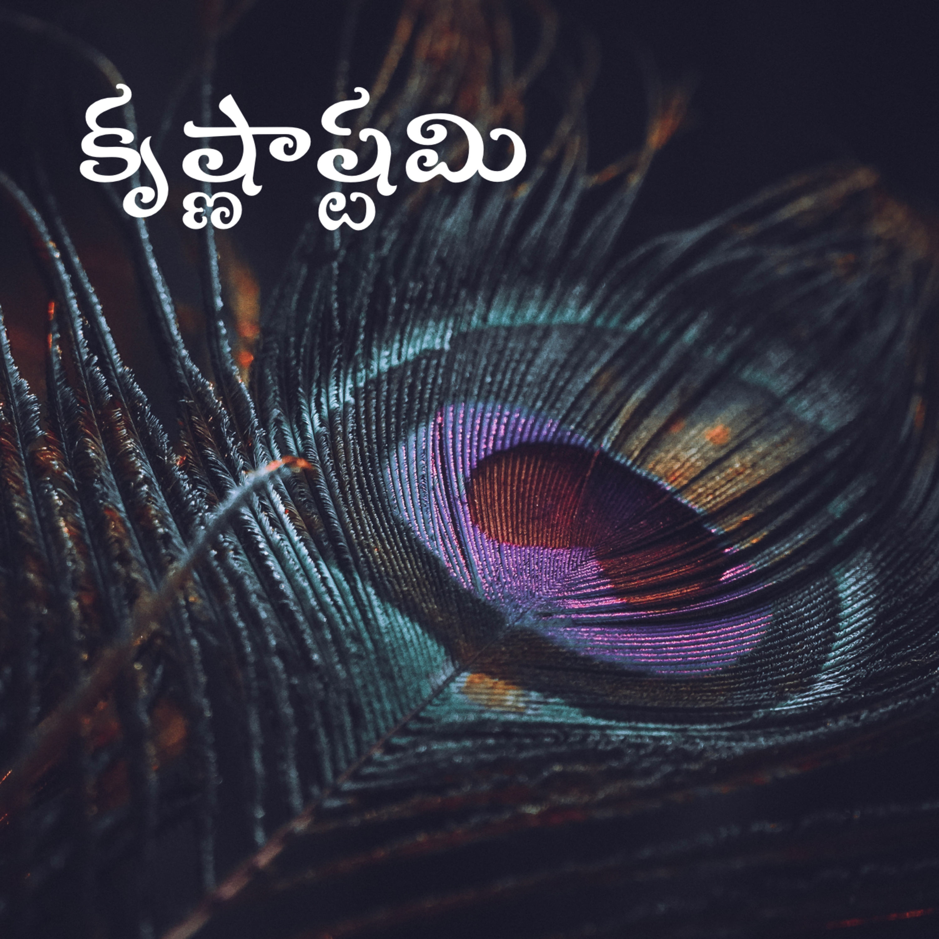 Telugu Sahityam Teasers
