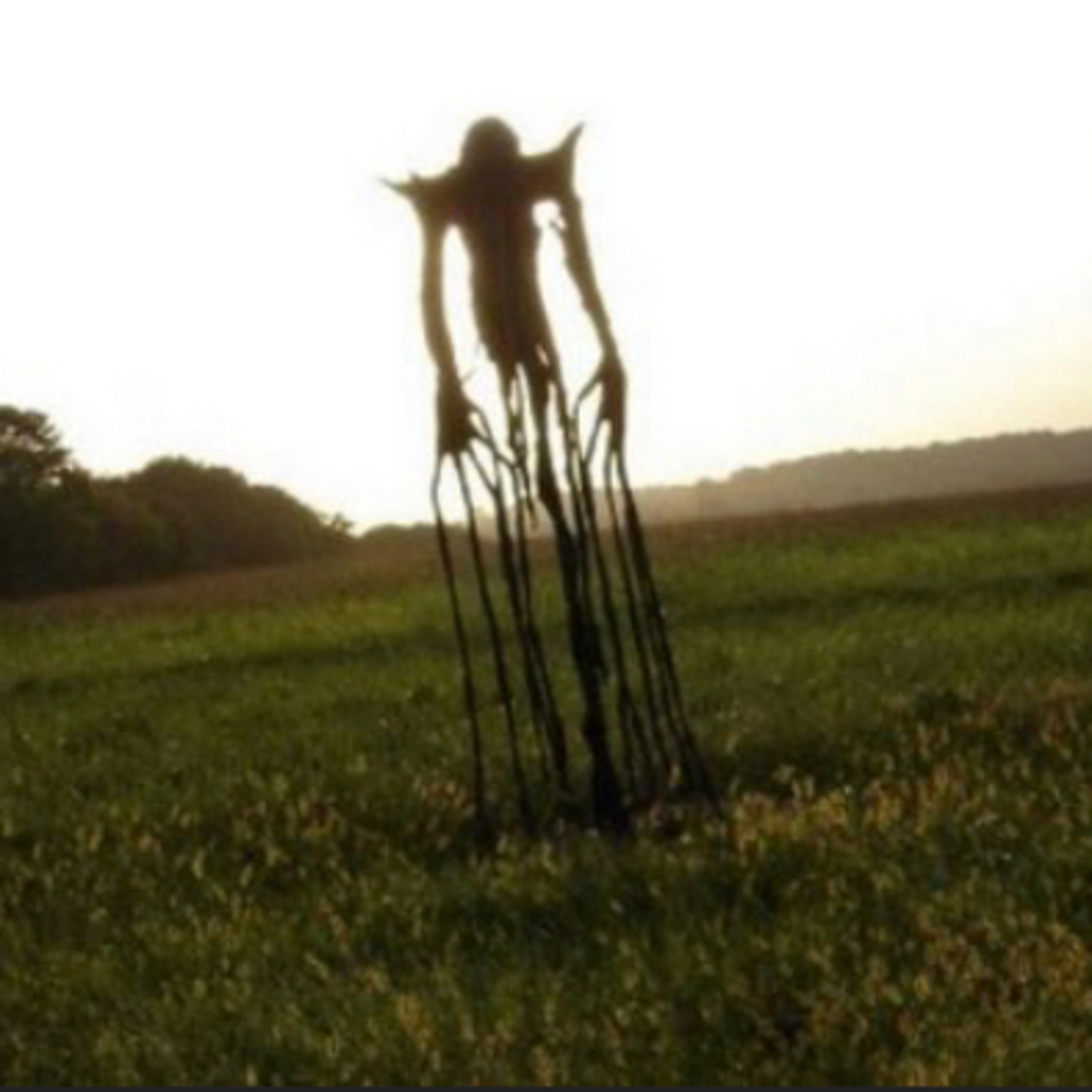 The Man in the Field Ritual episode artwork