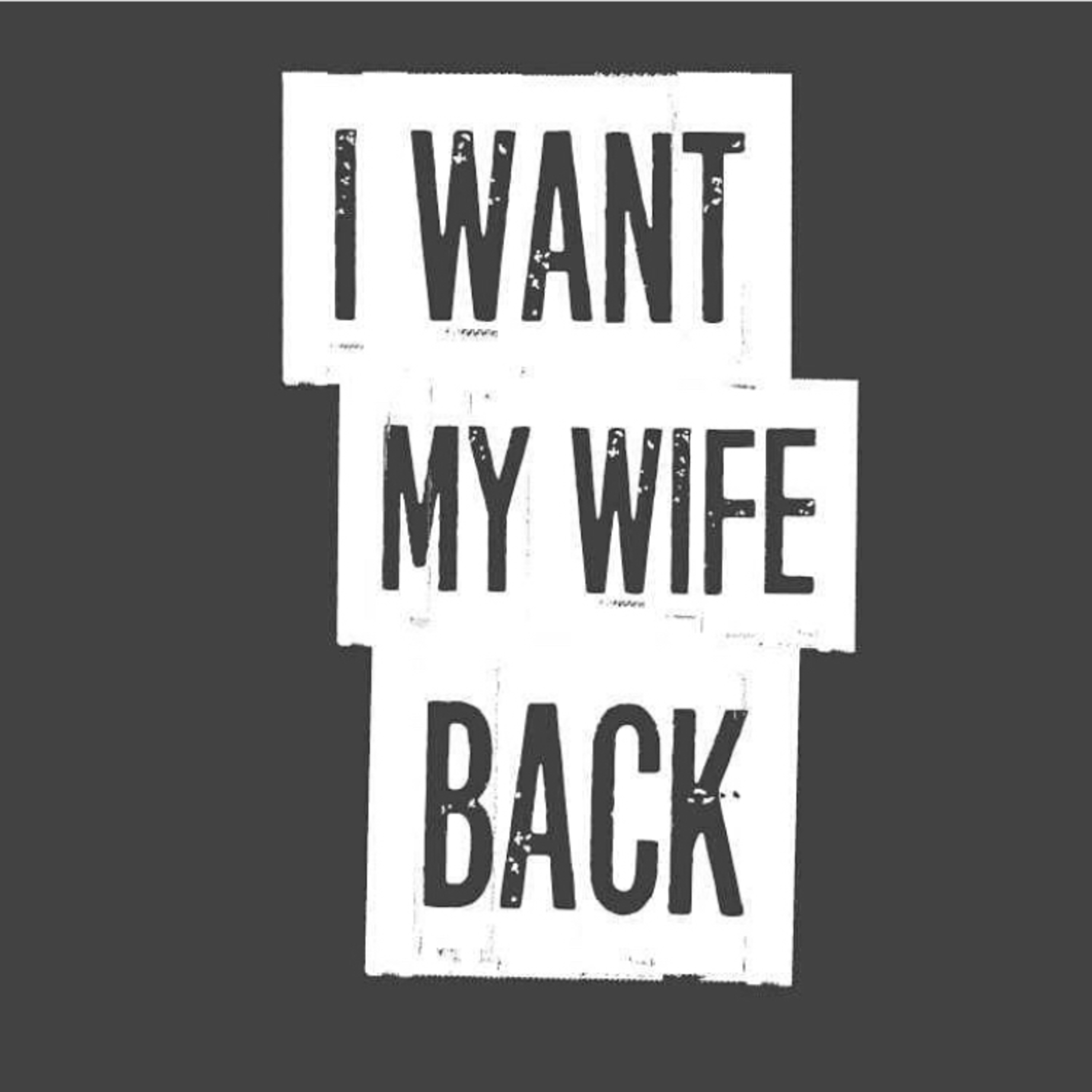 I Want My Wife Back episode artwork