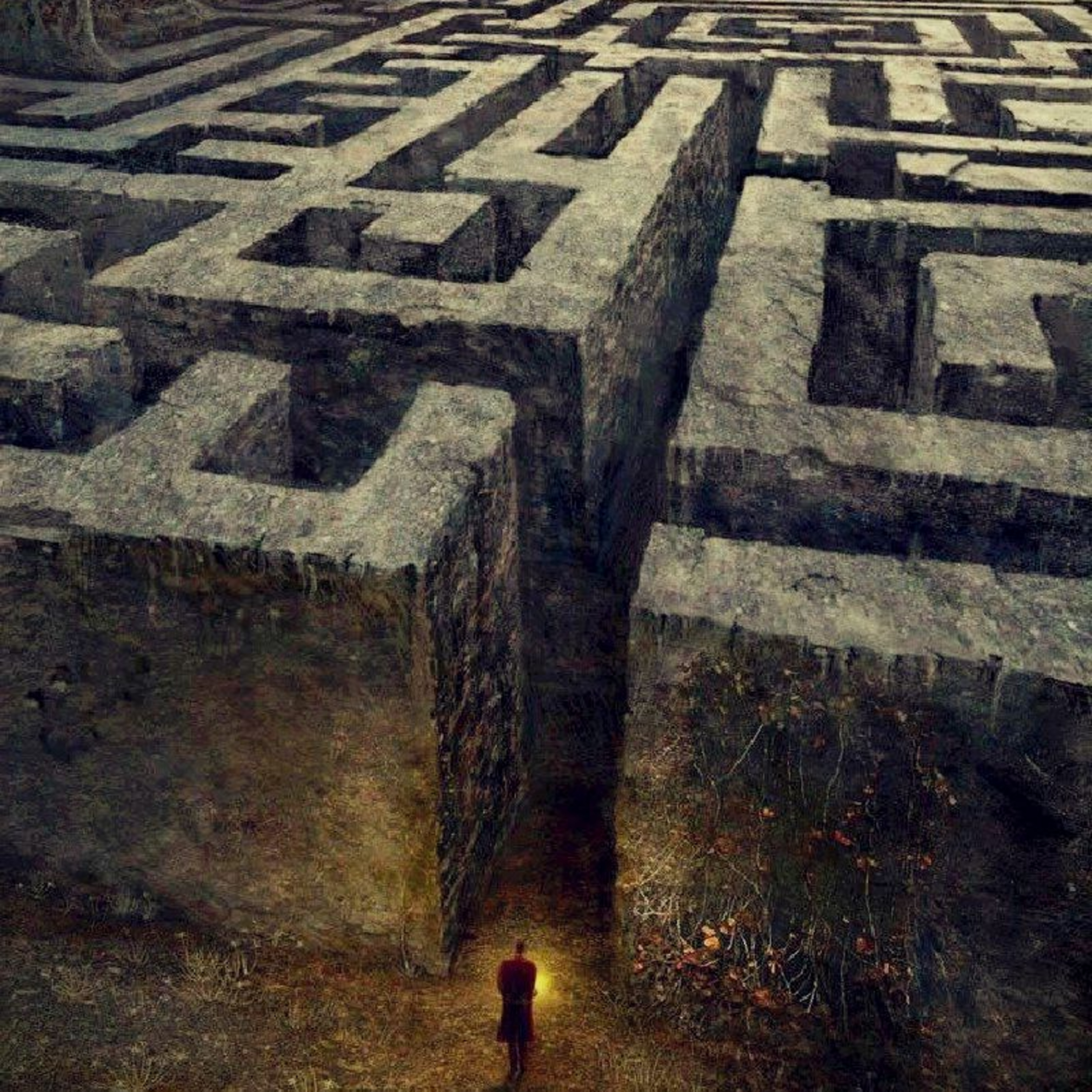 Maze runner: Correr o morir. episode artwork
