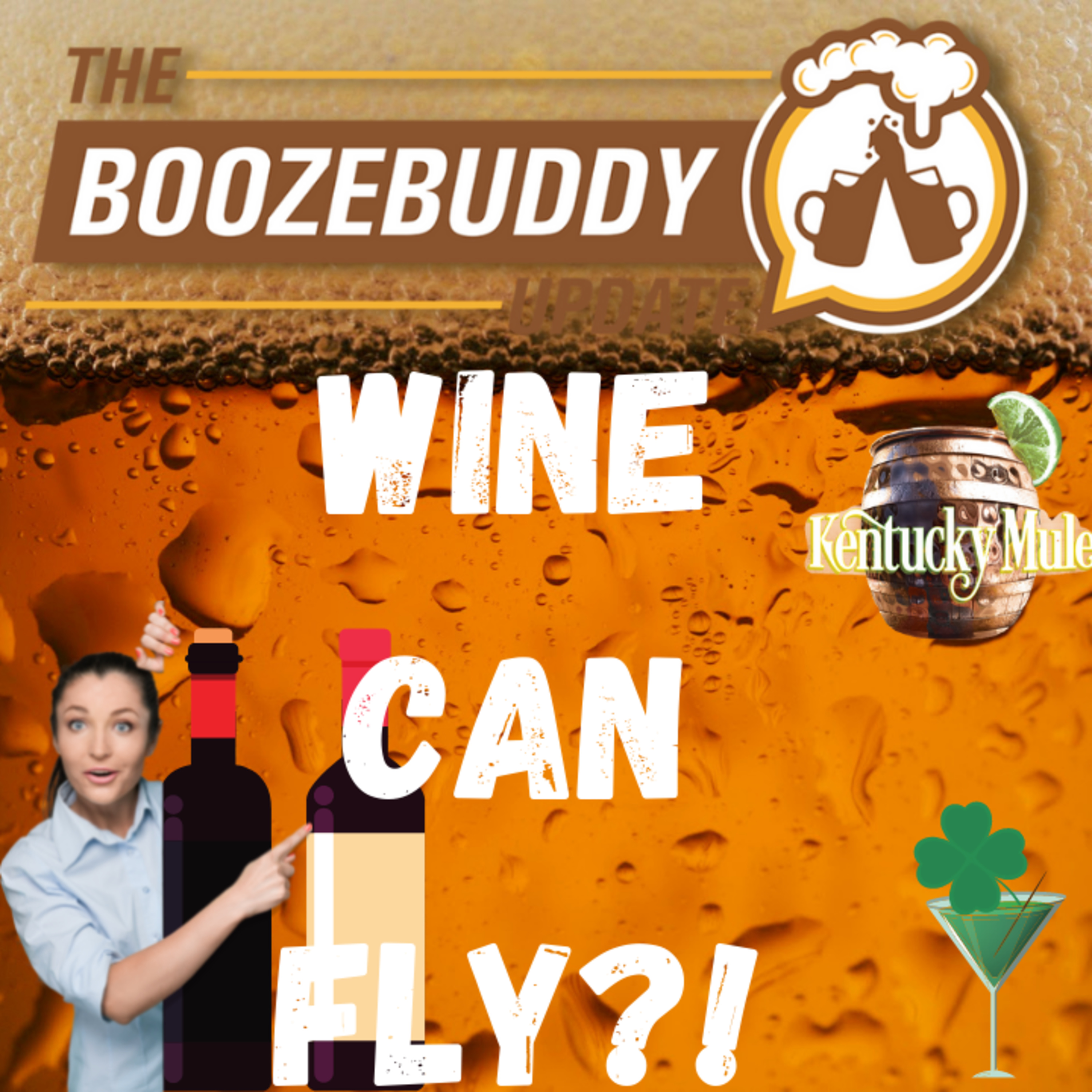 The Boozebuddy Update