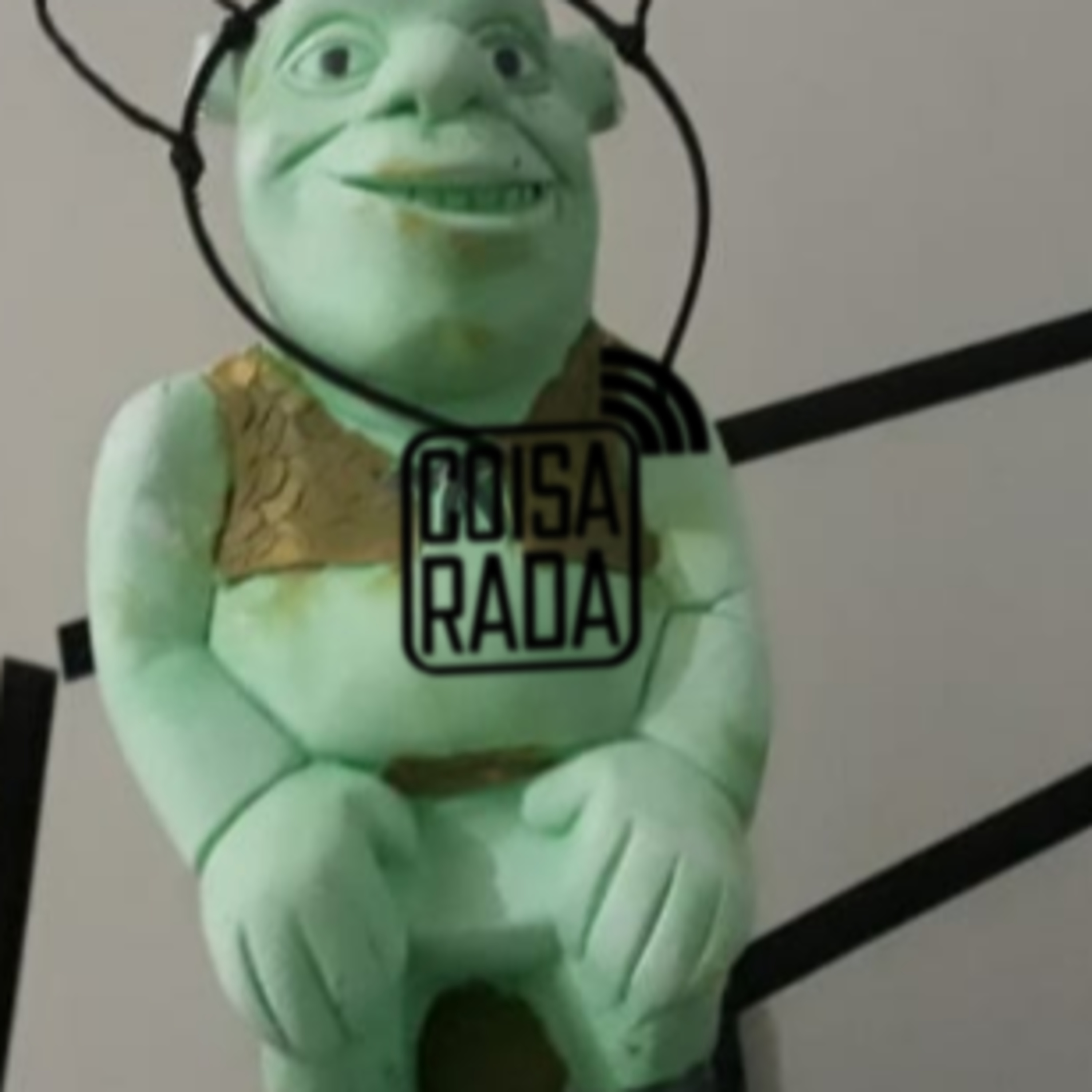 Coisarada