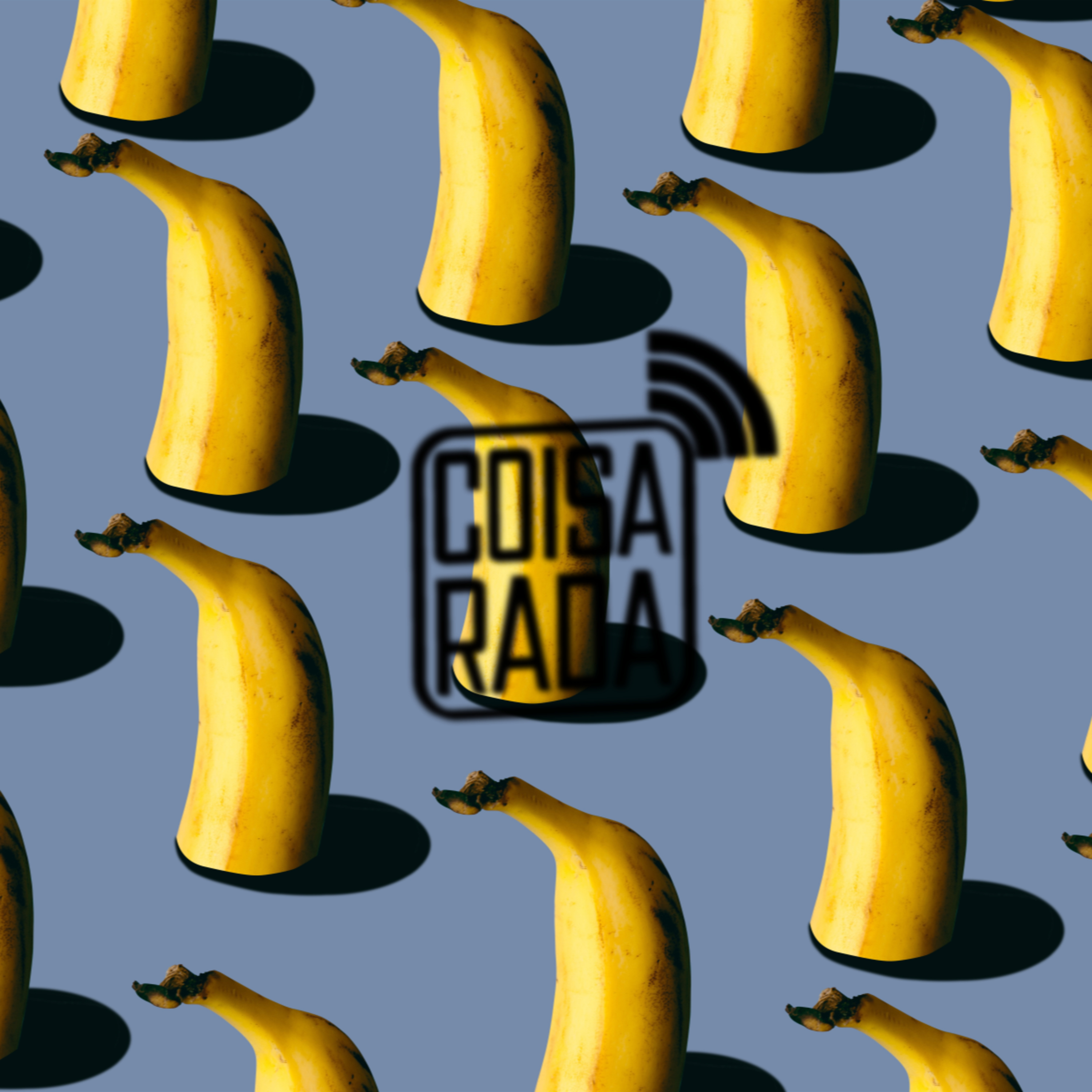 Coisarada