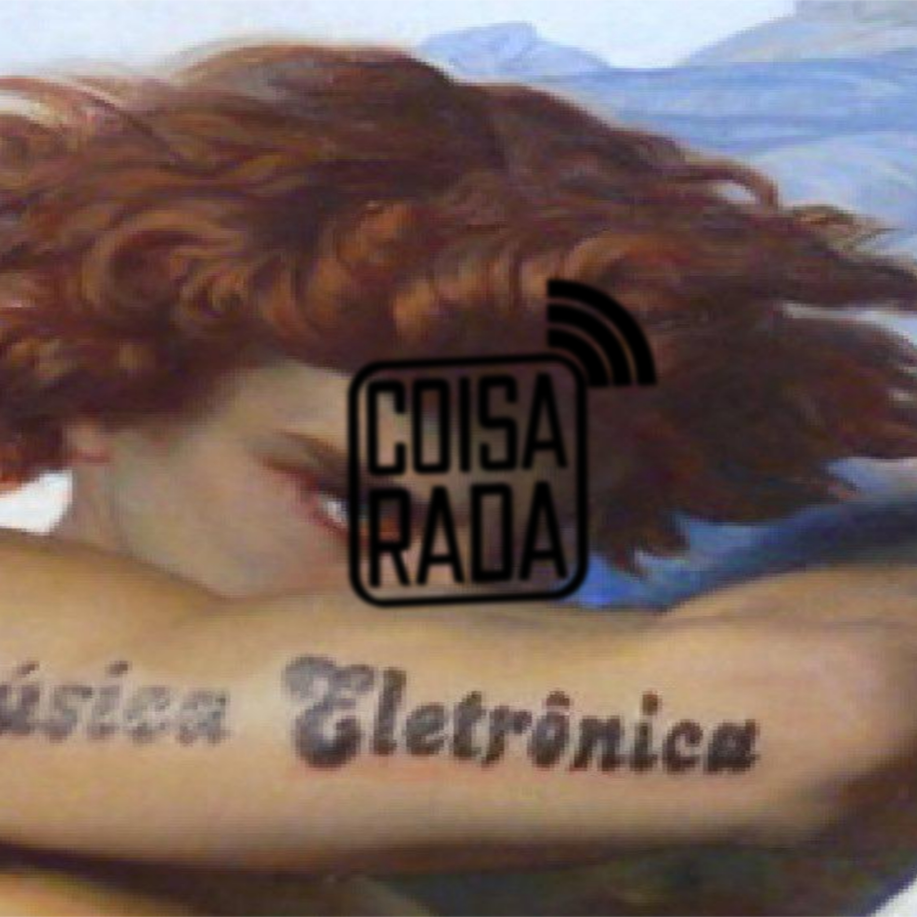 Coisarada