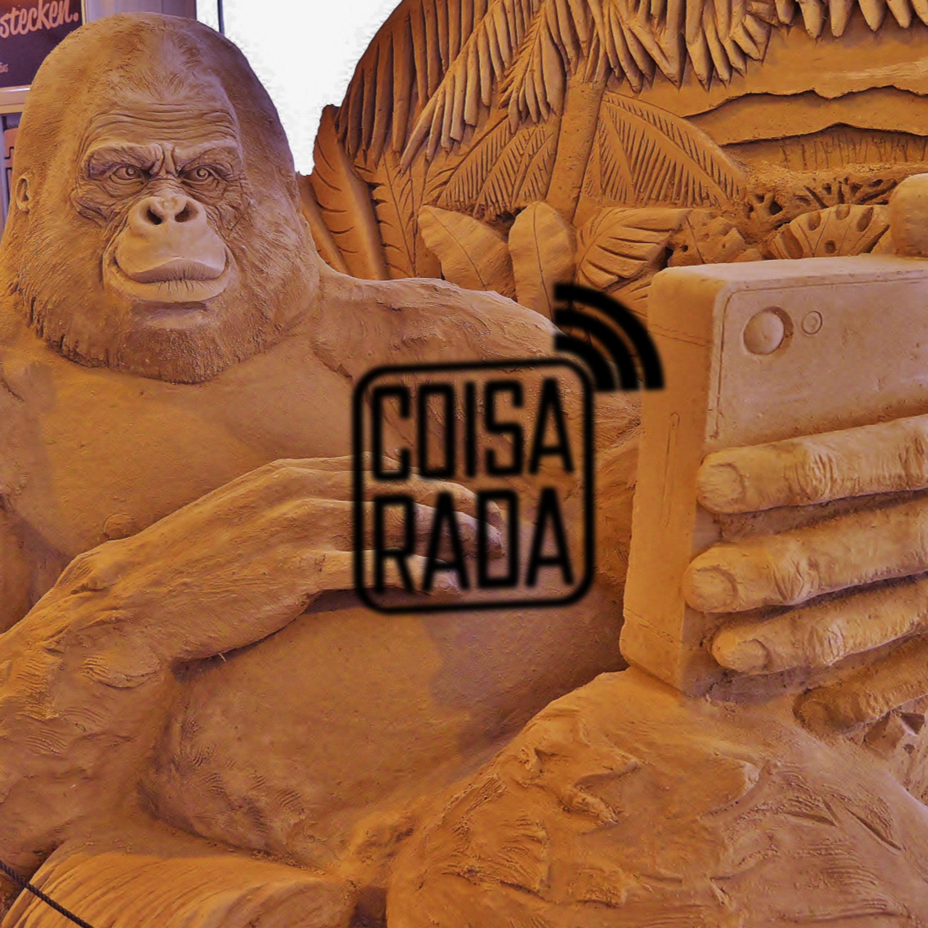 Coisarada