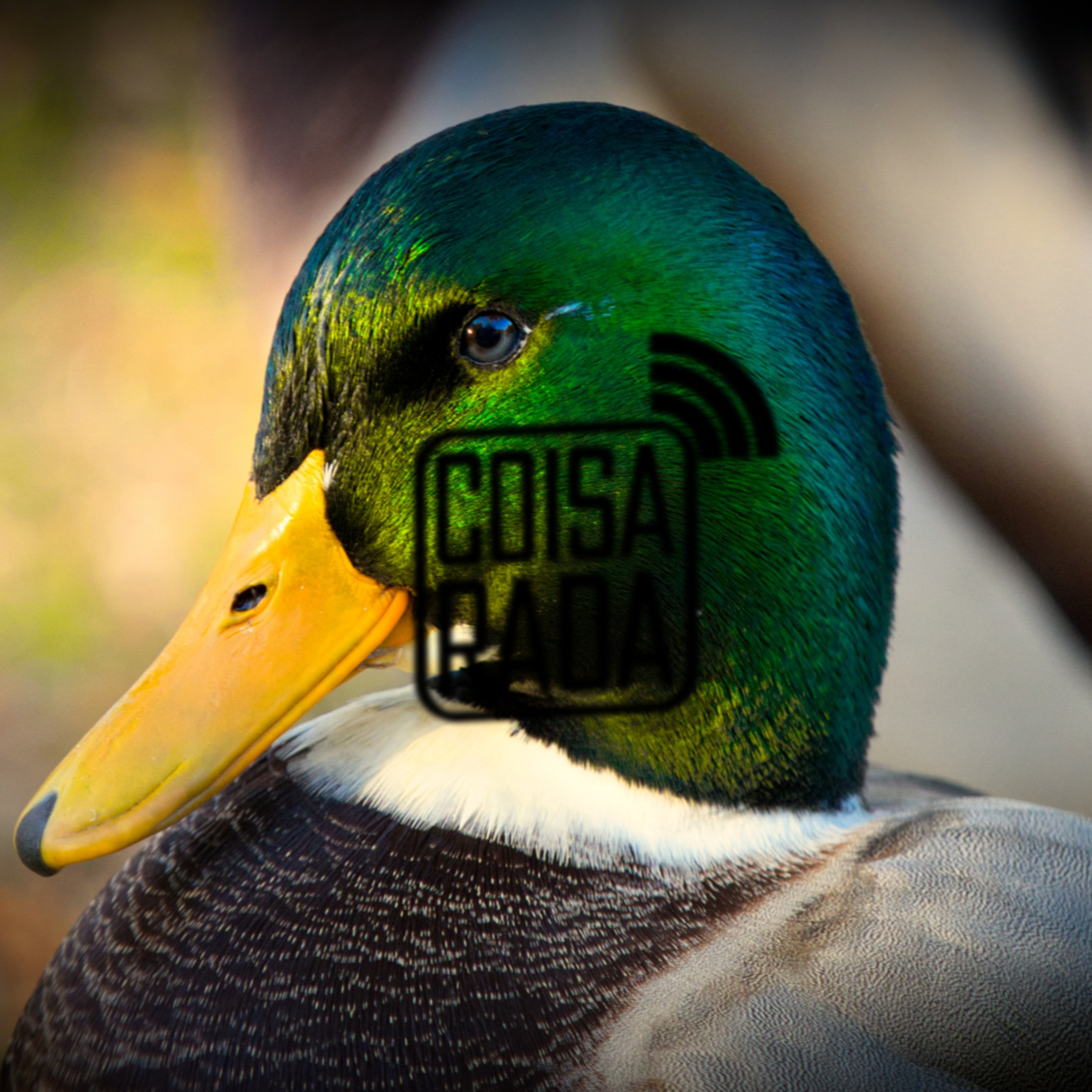 Coisarada