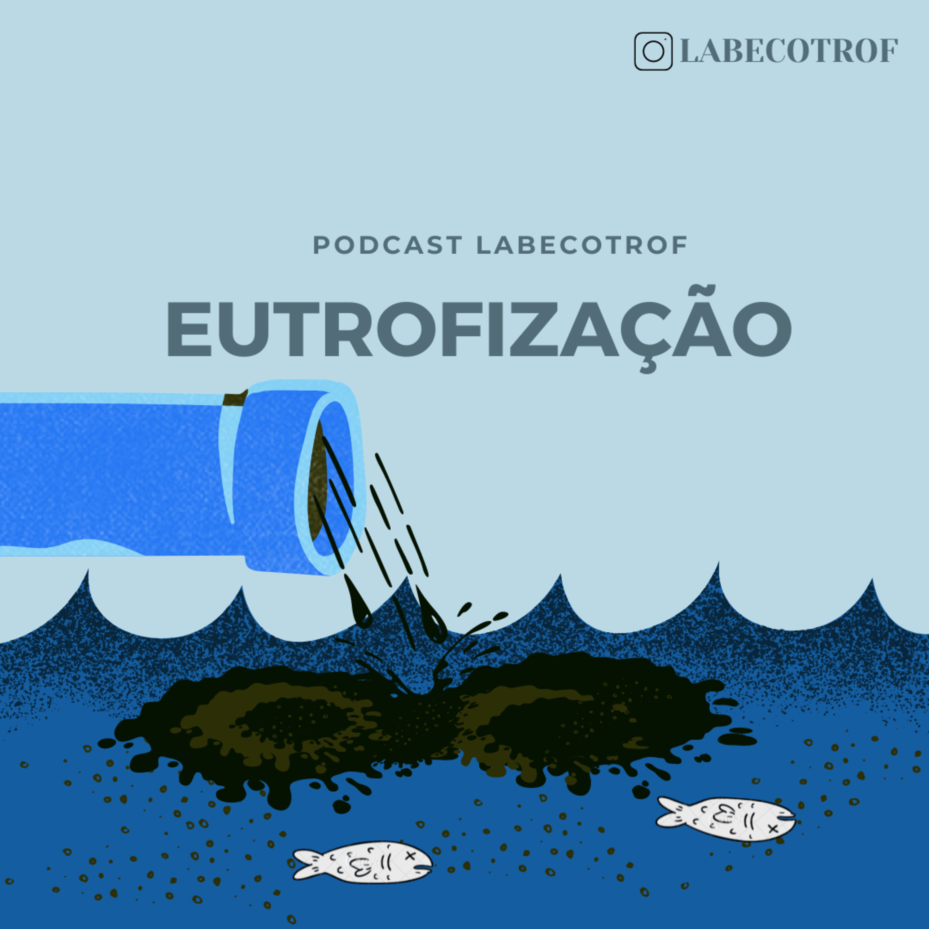 Eutrofização