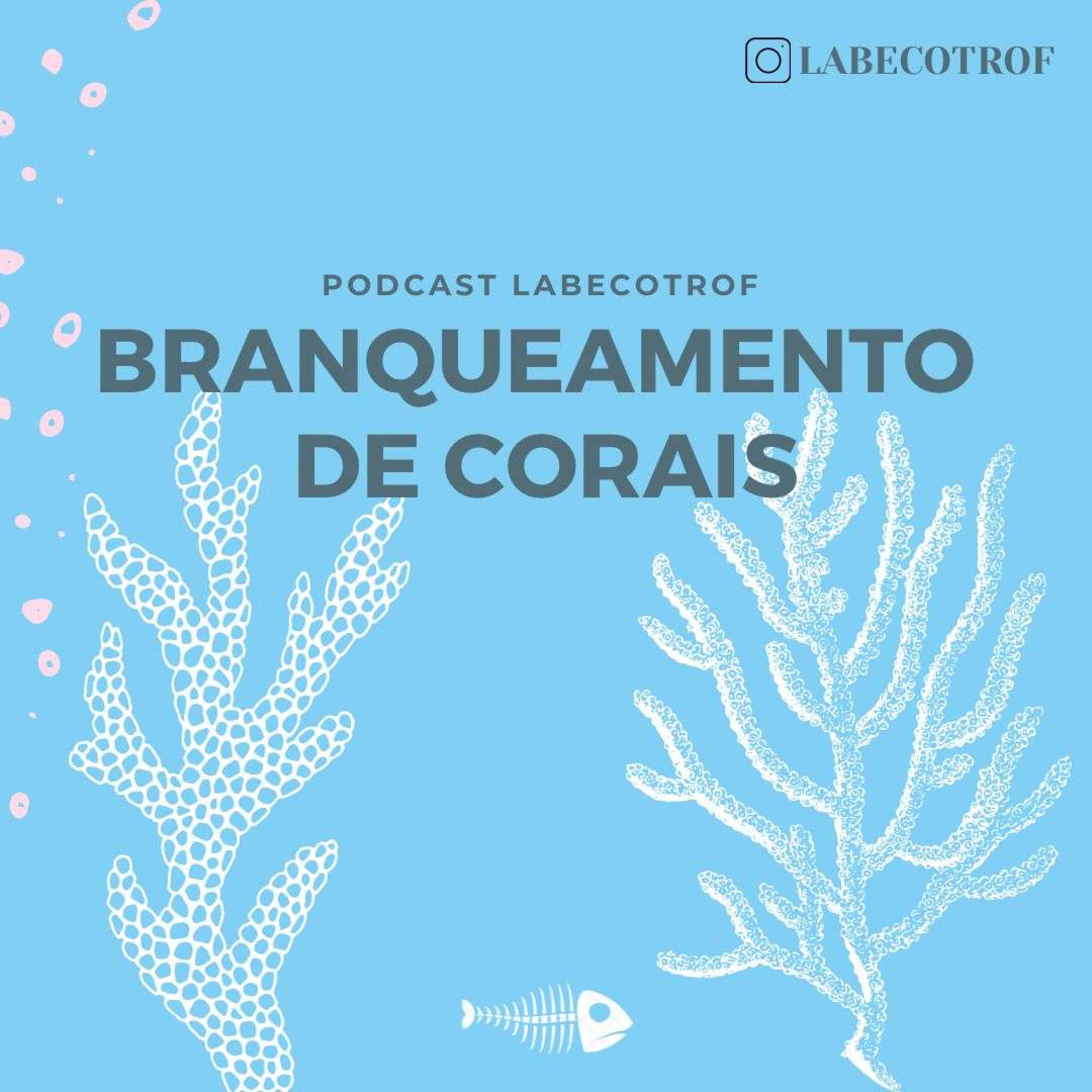 Branqueamento de corais