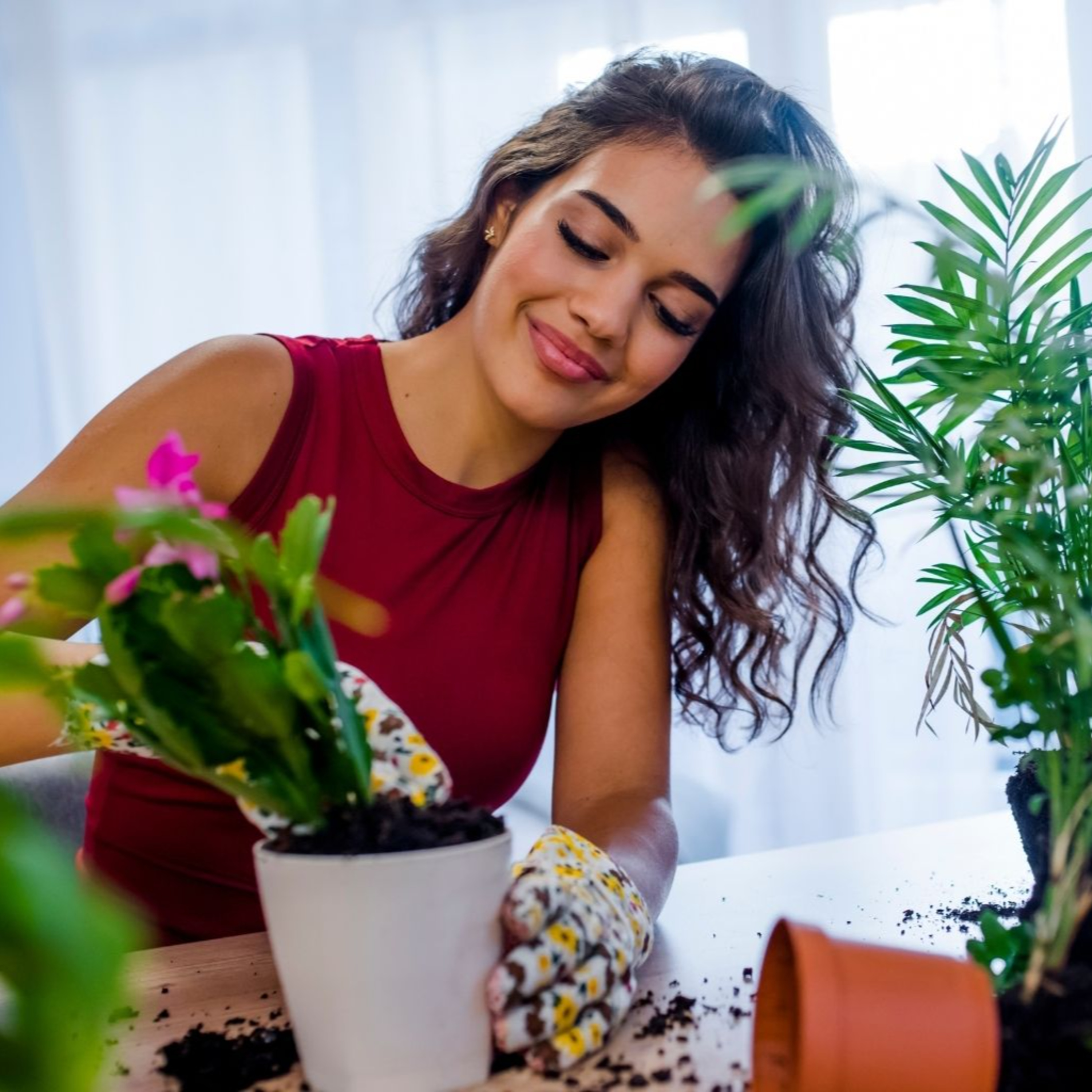 How to grow Low maintenance indoor plants episode artwork