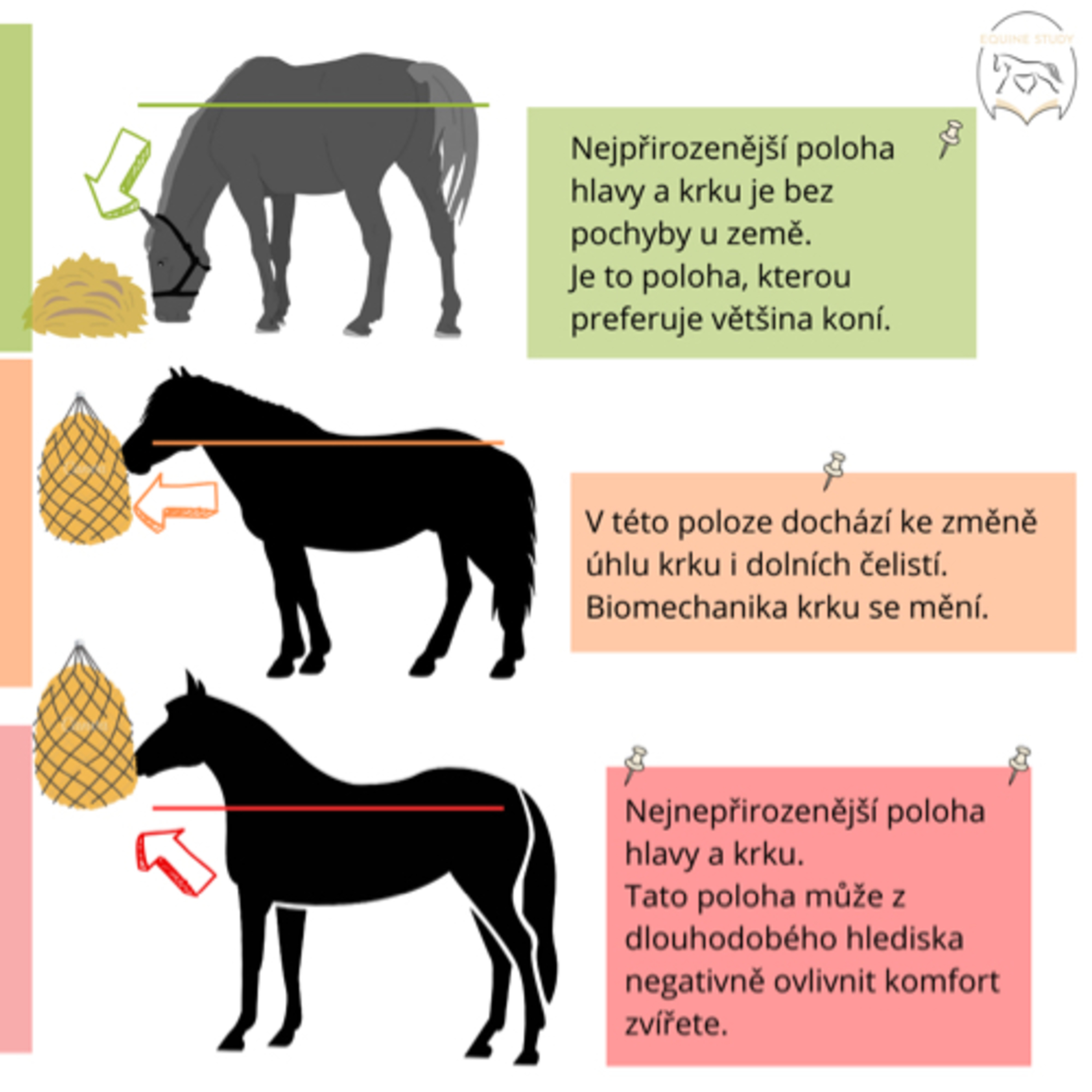 Sítě na seno  episode artwork