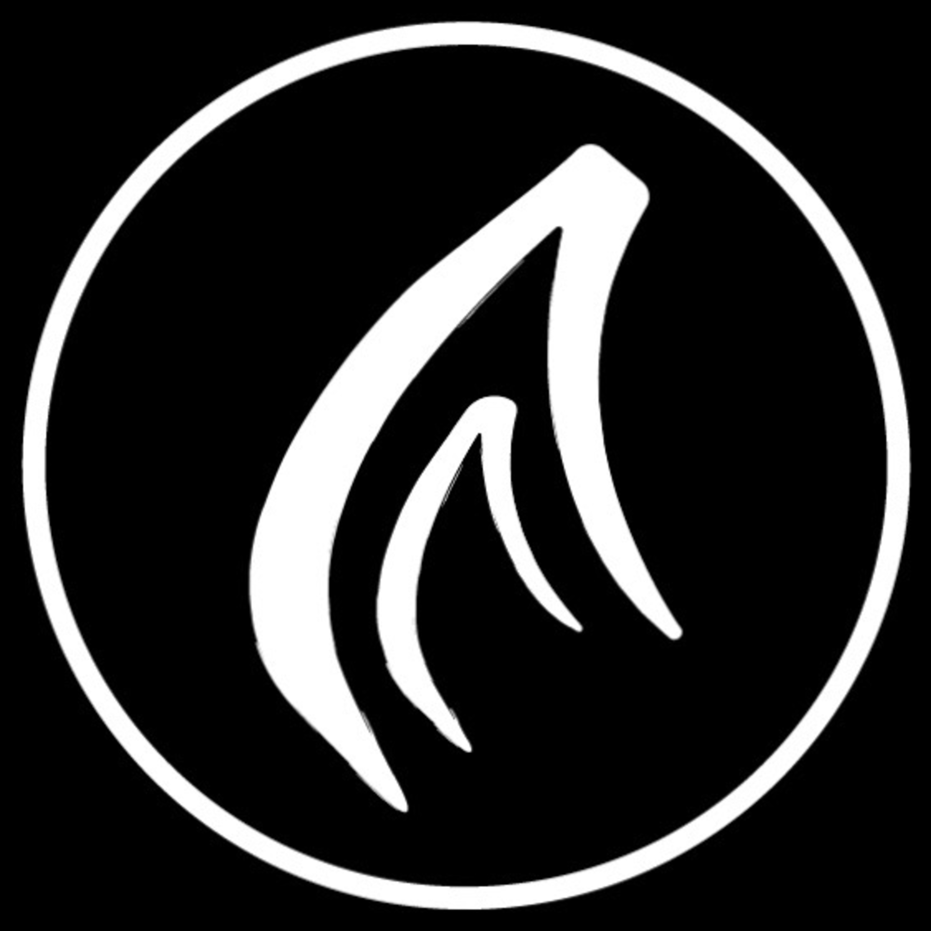 Fireside Church | Messages
