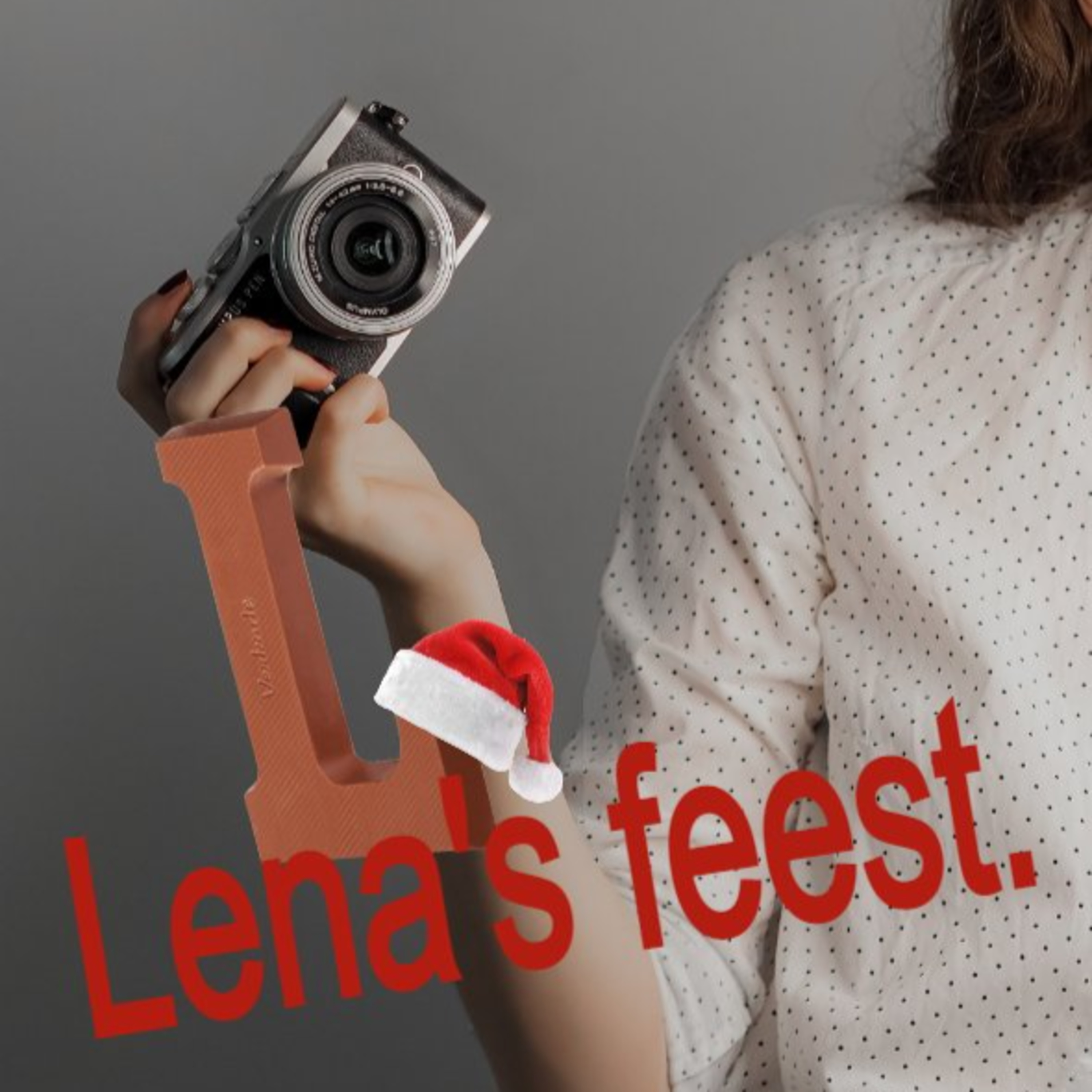 Lena's feest